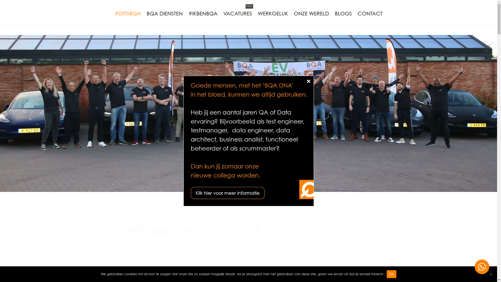 website screenshot of https://werkenbijbqa.com/