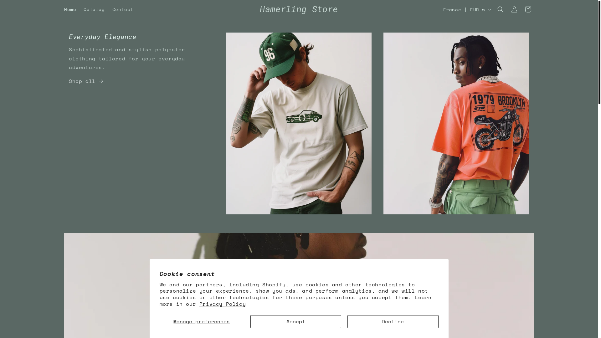 website screenshot of https://hamerling.store/