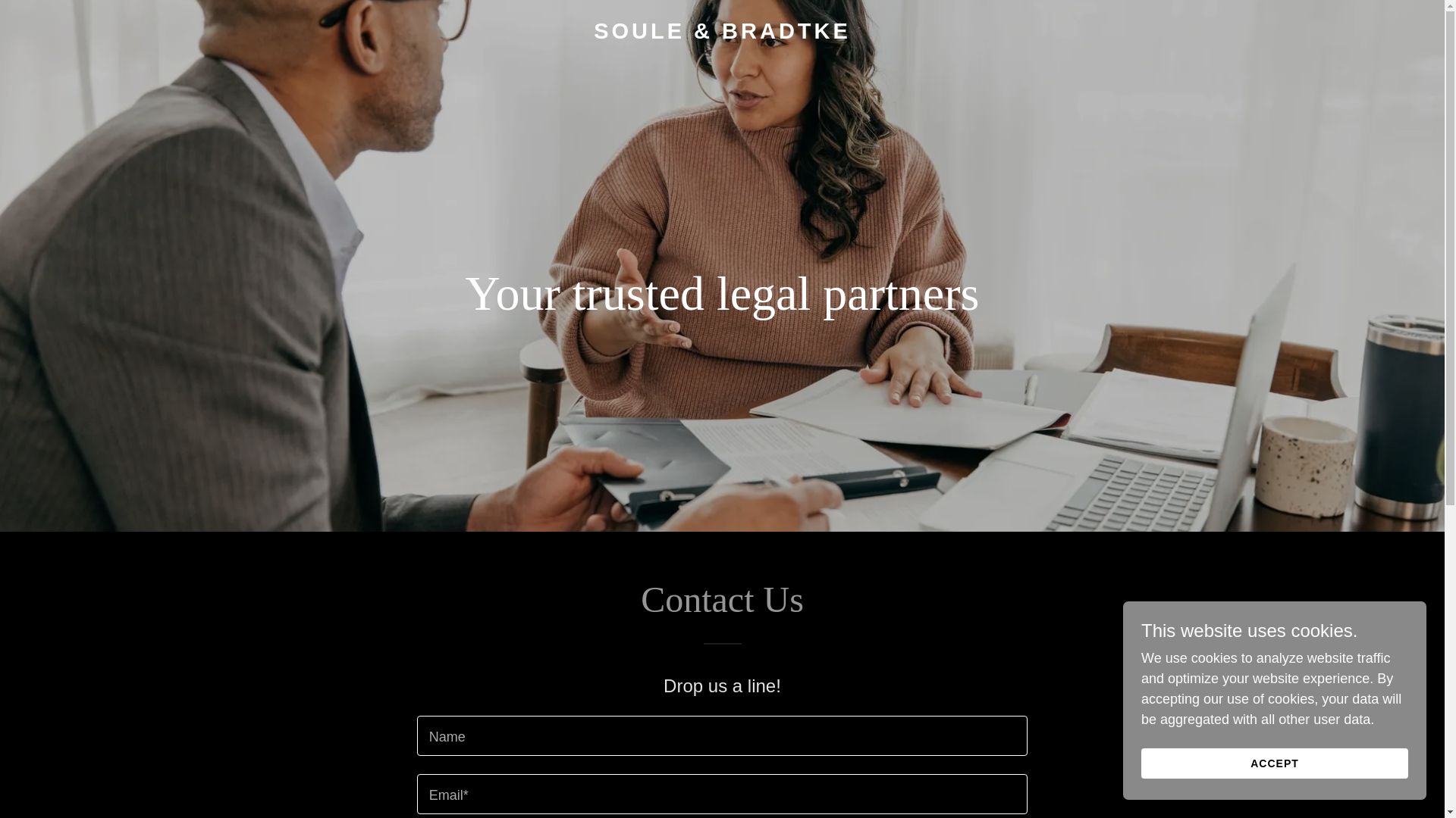 website screenshot of https://soulebradtke.com/
