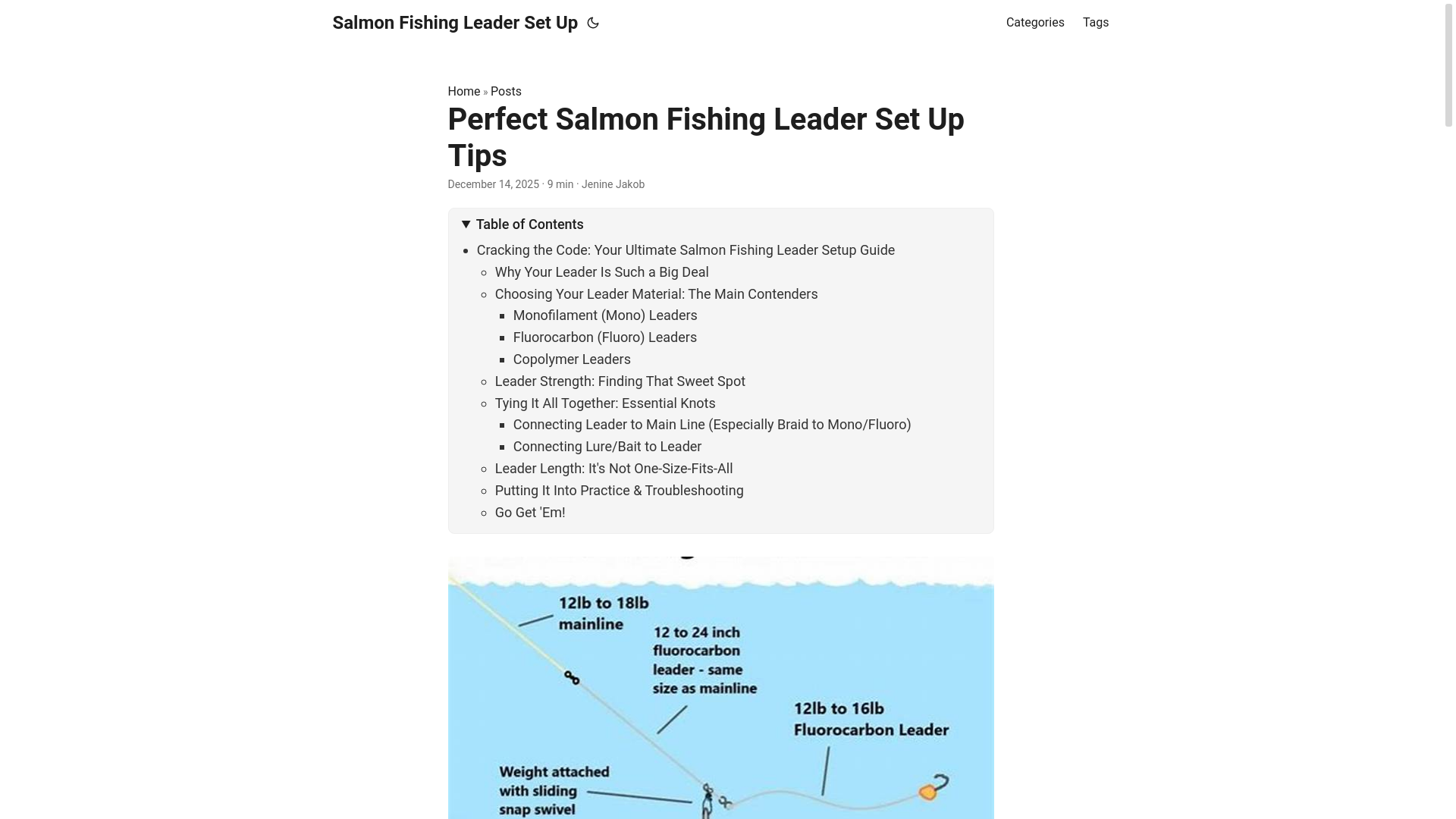 website screenshot of https://salmonfishingleadersetup.pages.dev/