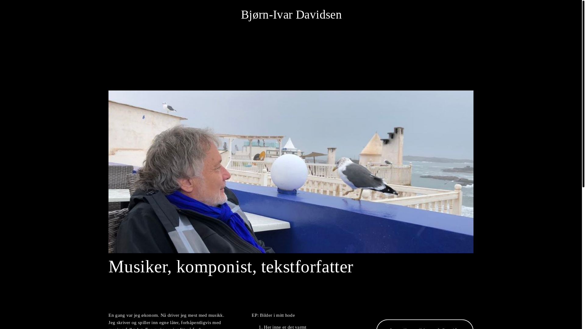 website screenshot of https://bjornivardavidsen.no/