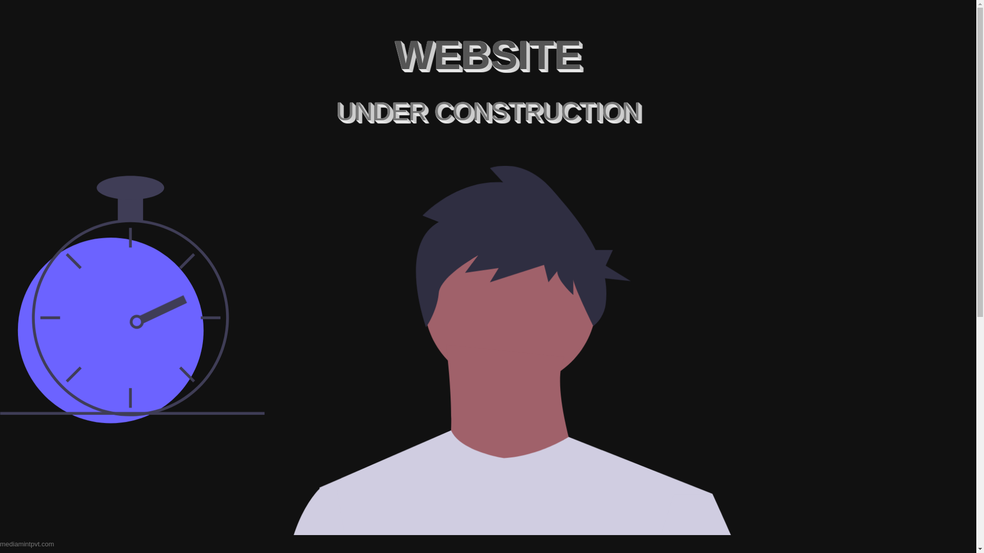 website screenshot of https://mediamintpvt-111.pages.dev/