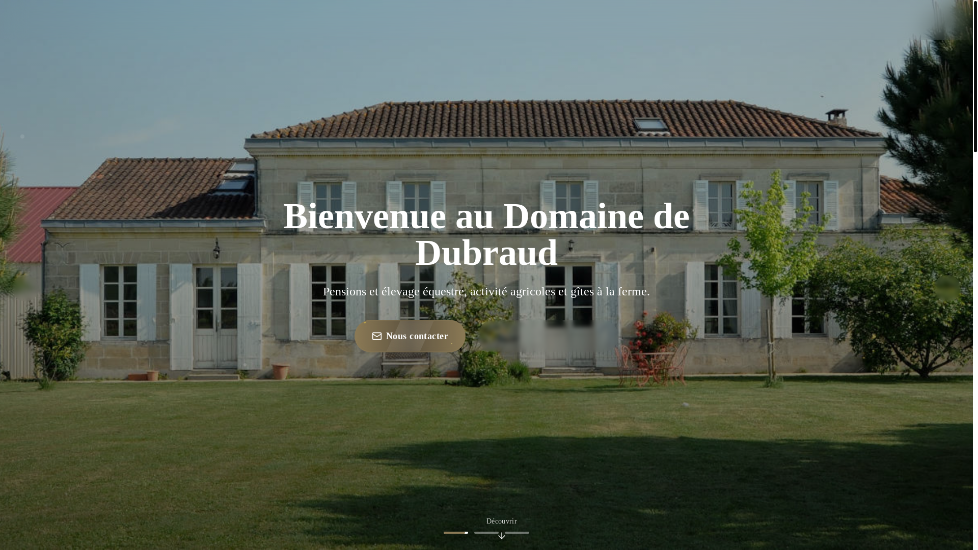 website screenshot of https://domaine-dubraud.com/
