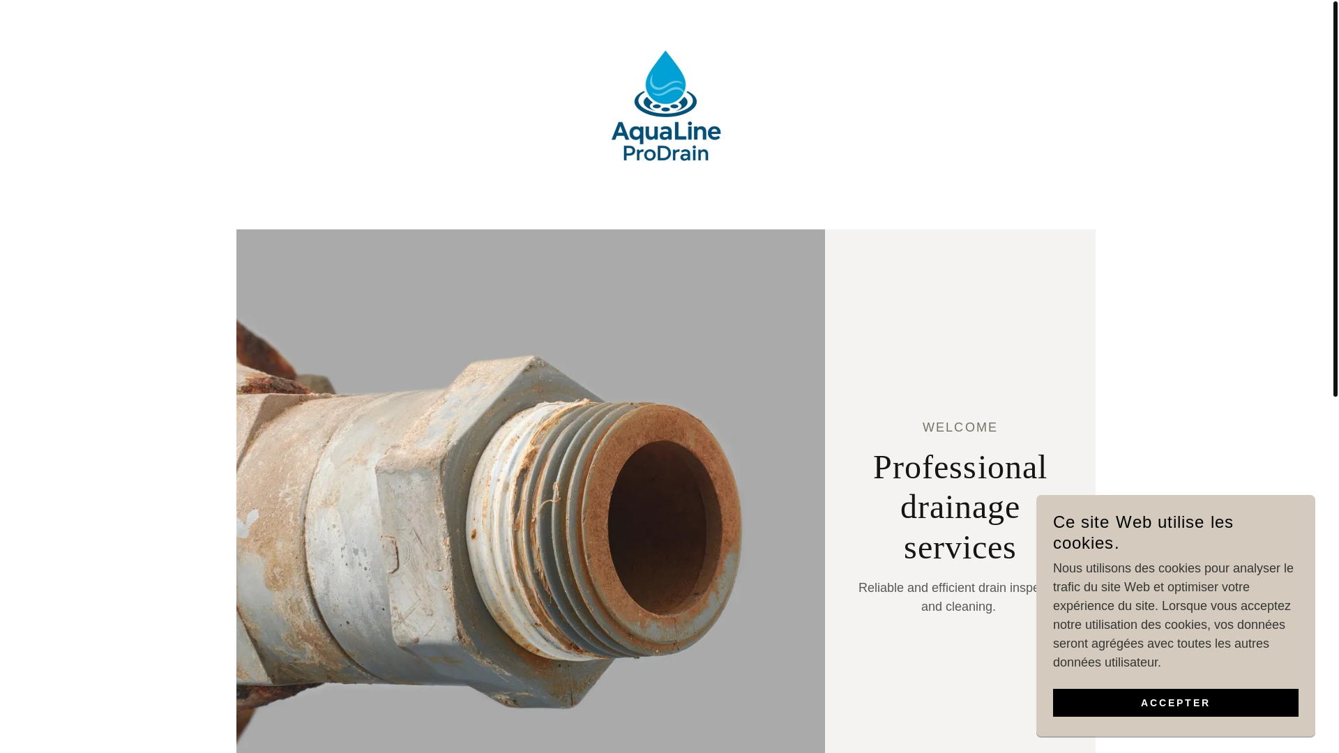 website screenshot of https://aqualineprodrain.com/