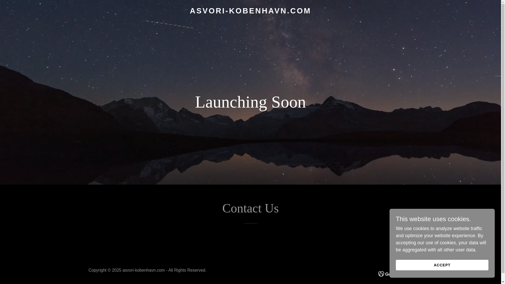 website screenshot of https://asvori-kobenhavn.com/