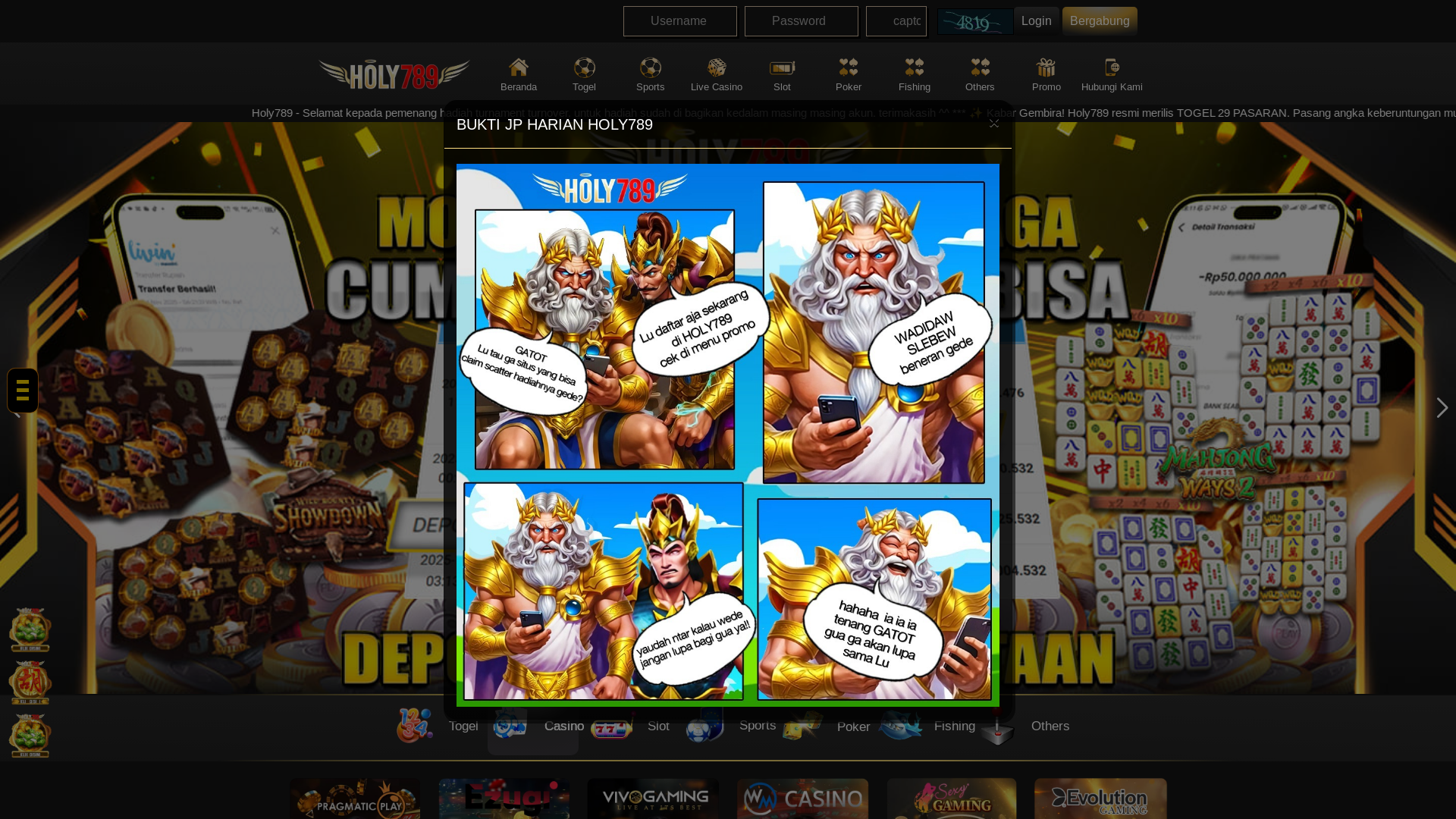 website screenshot of https://holyholalttt.store/