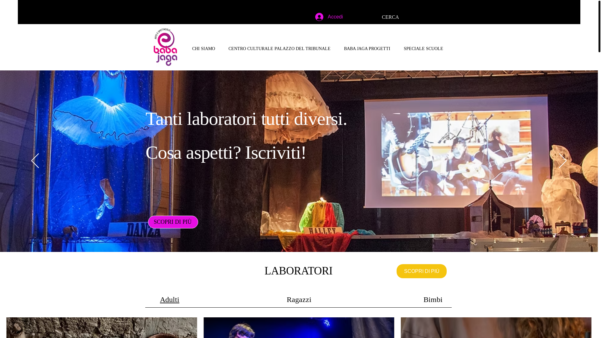 website screenshot of https://babajagaps.com/