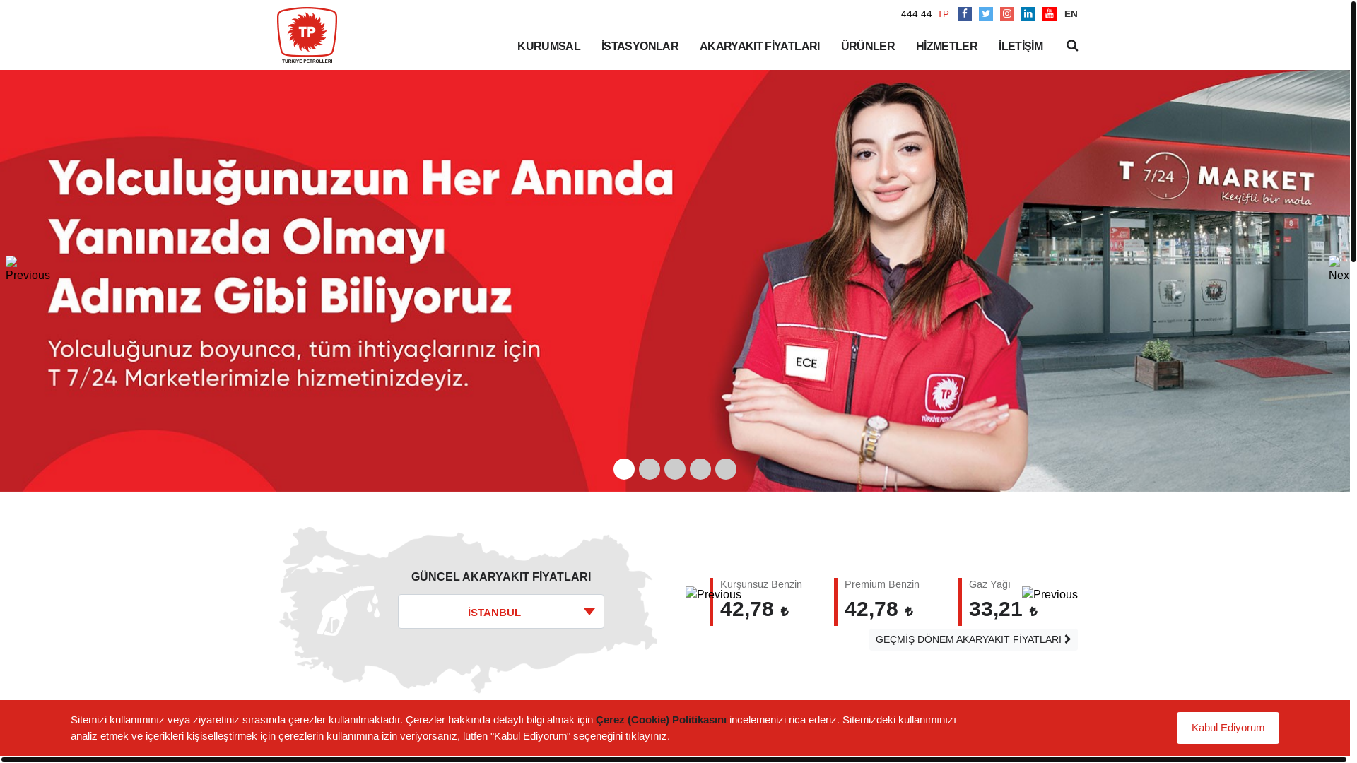 website screenshot of https://pavetinet.store/