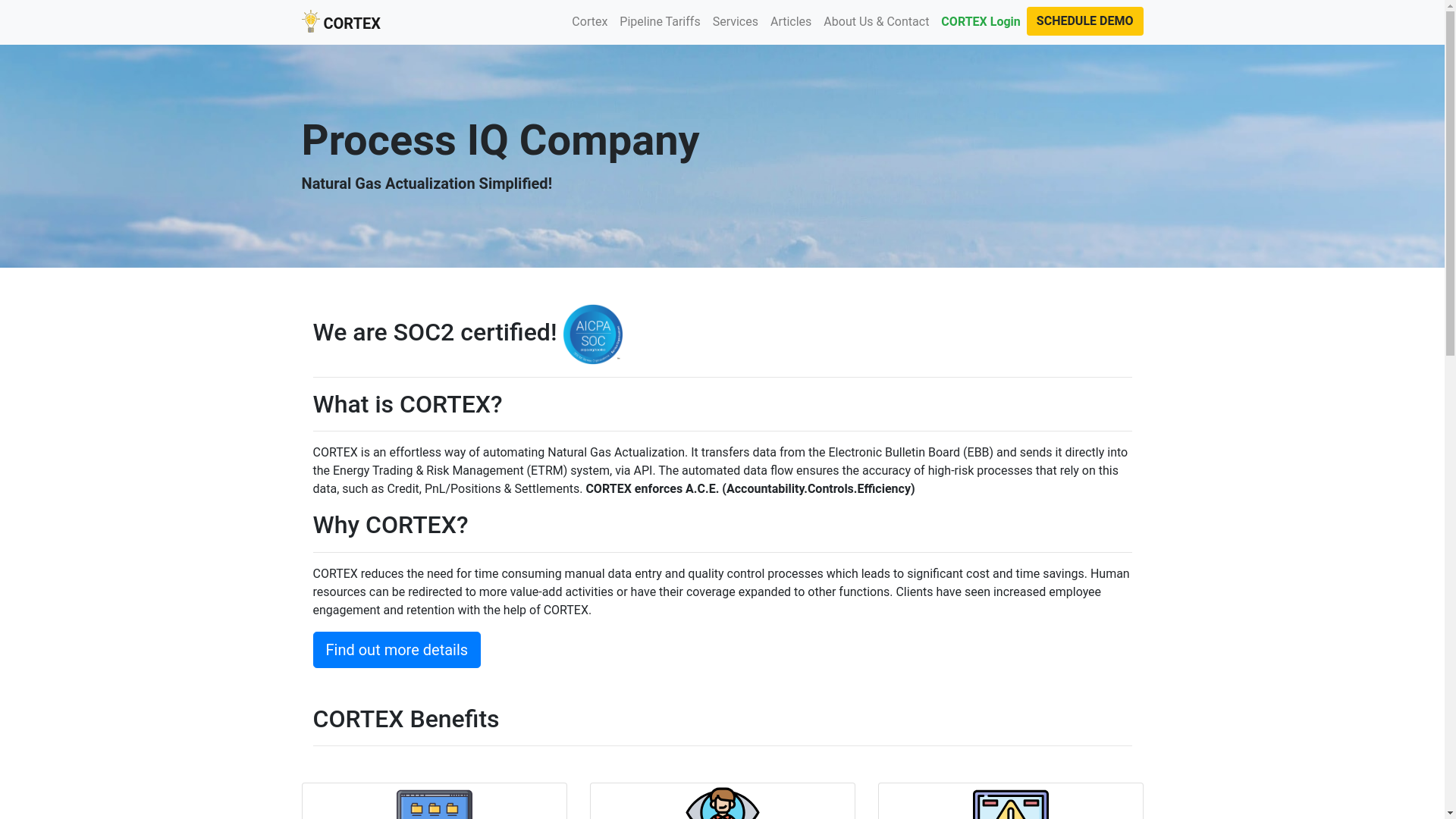 website screenshot of https://processiqcompany.com/