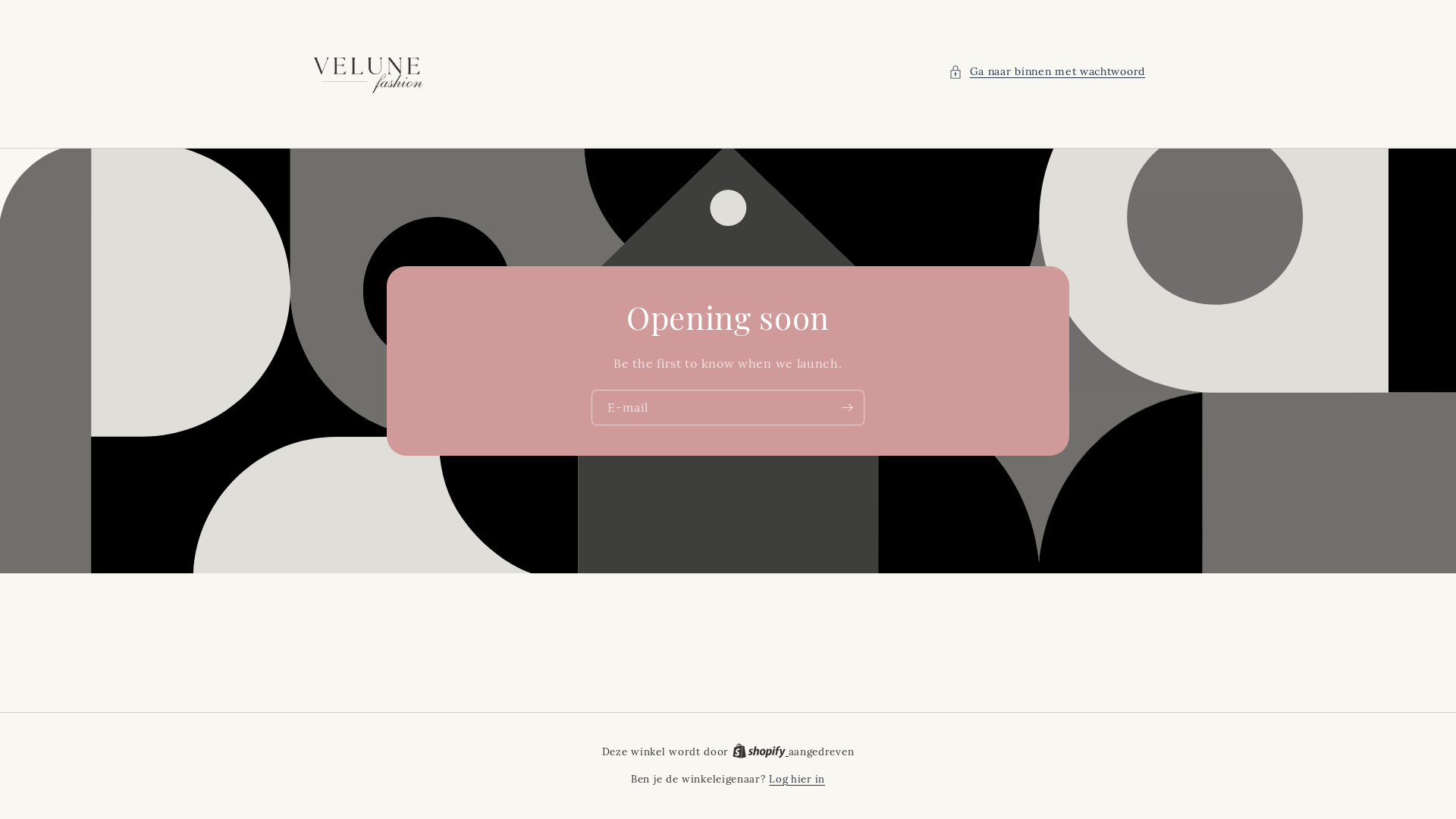 website screenshot of https://velunefashion.com/