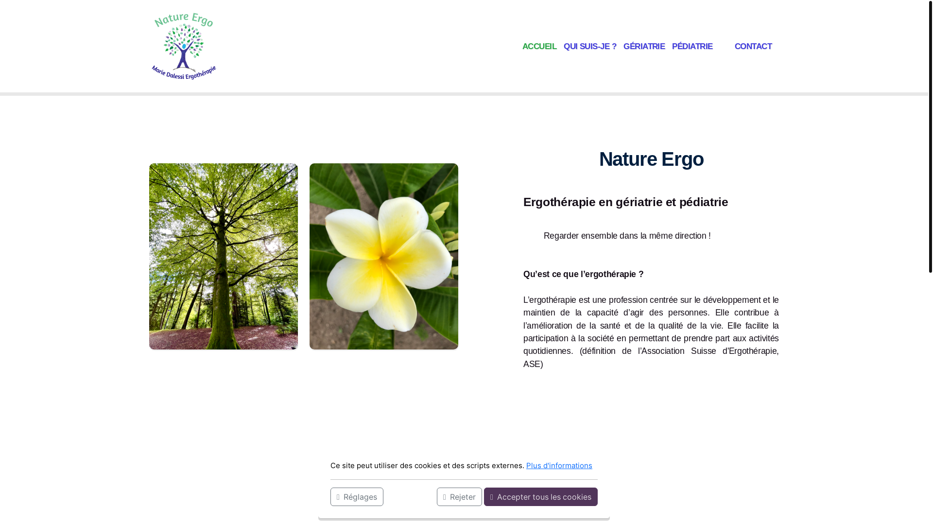website screenshot of https://natureergo.ch/