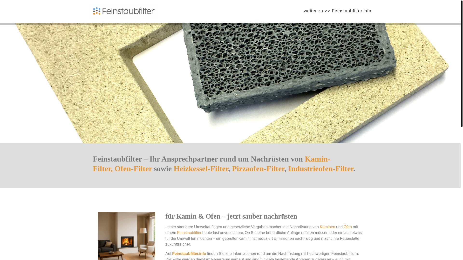 website screenshot of https://hottub-filter.de/