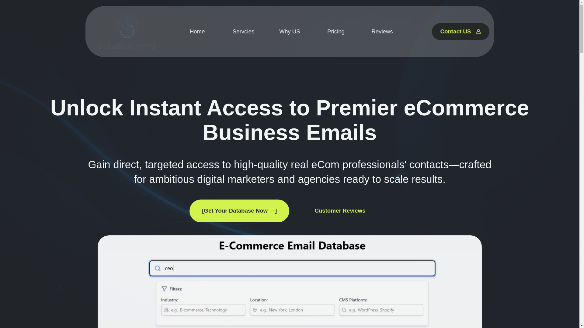website screenshot of https://databloomhq.com/
