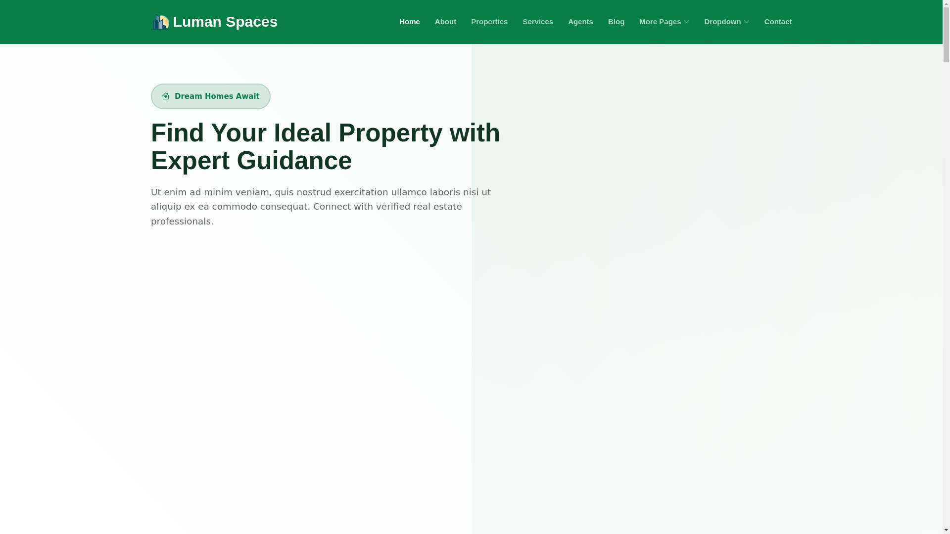 website screenshot of https://lumanspaces.org/