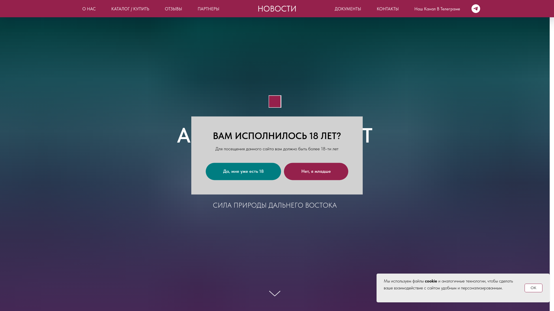 website screenshot of https://amurbarhat.com/