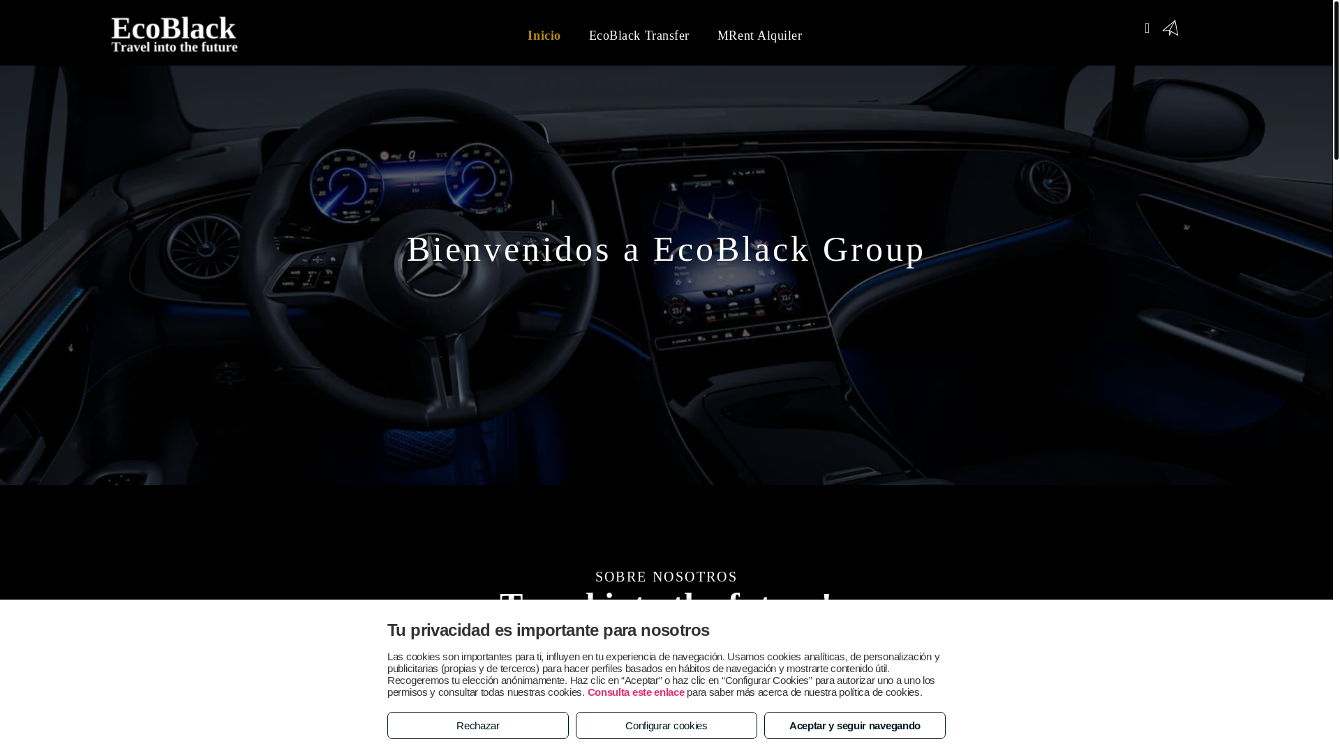 website screenshot of https://ecoblack.es/