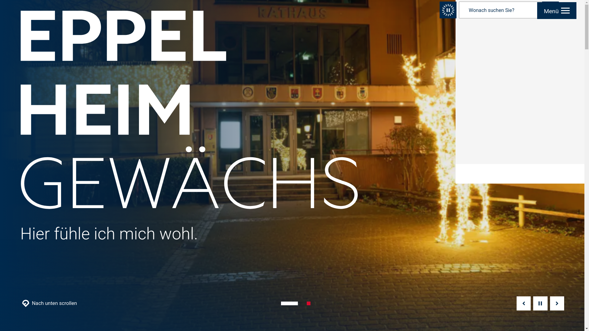 website screenshot of https://www.eppelheim.de/