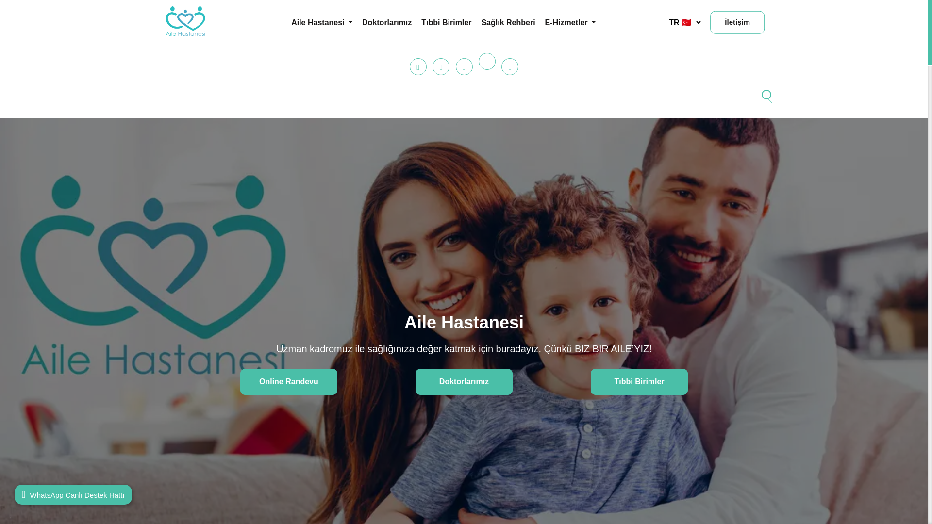 website screenshot of https://ailehastanesi.pages.dev/