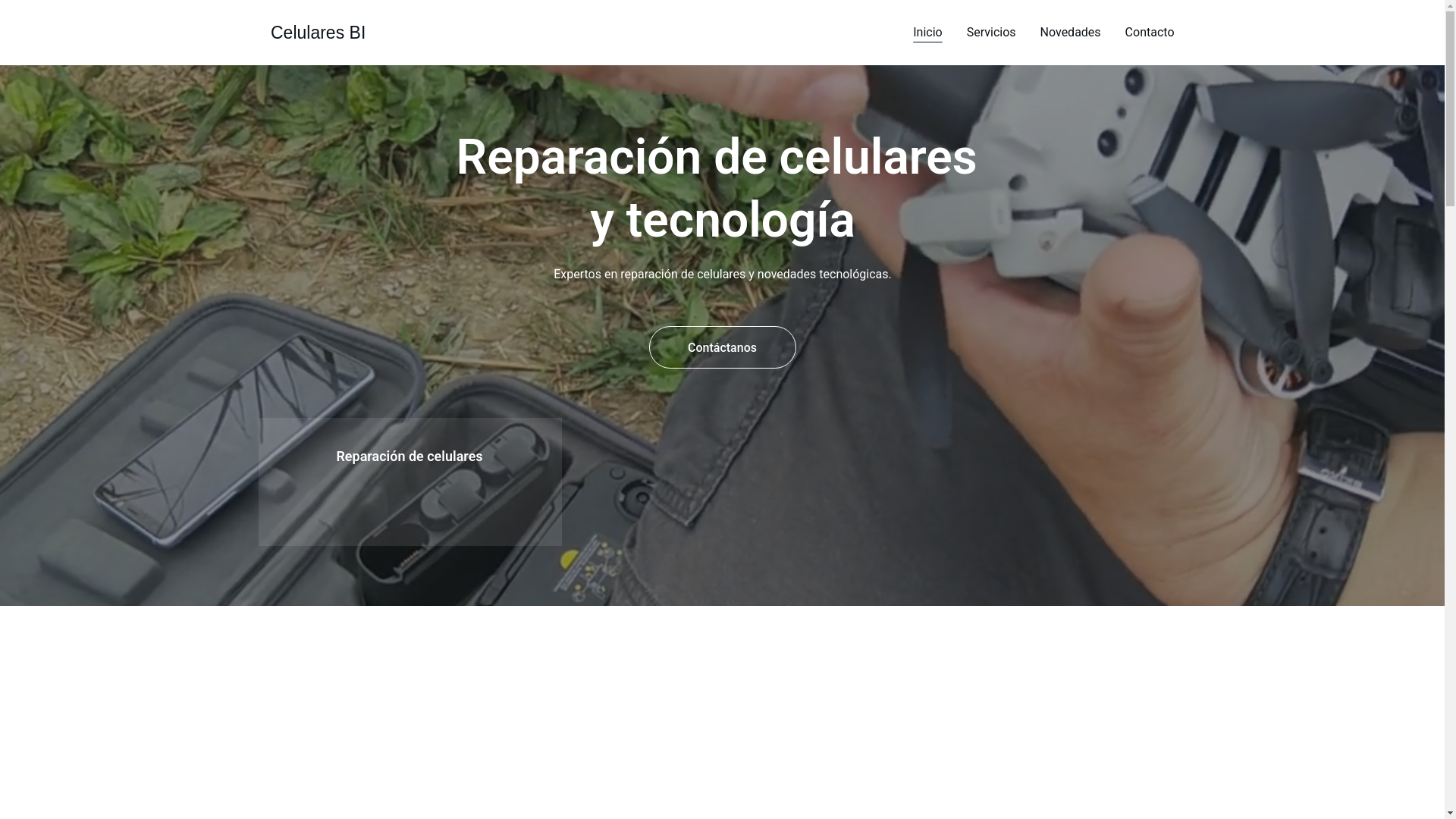 website screenshot of https://celularesbi.site/