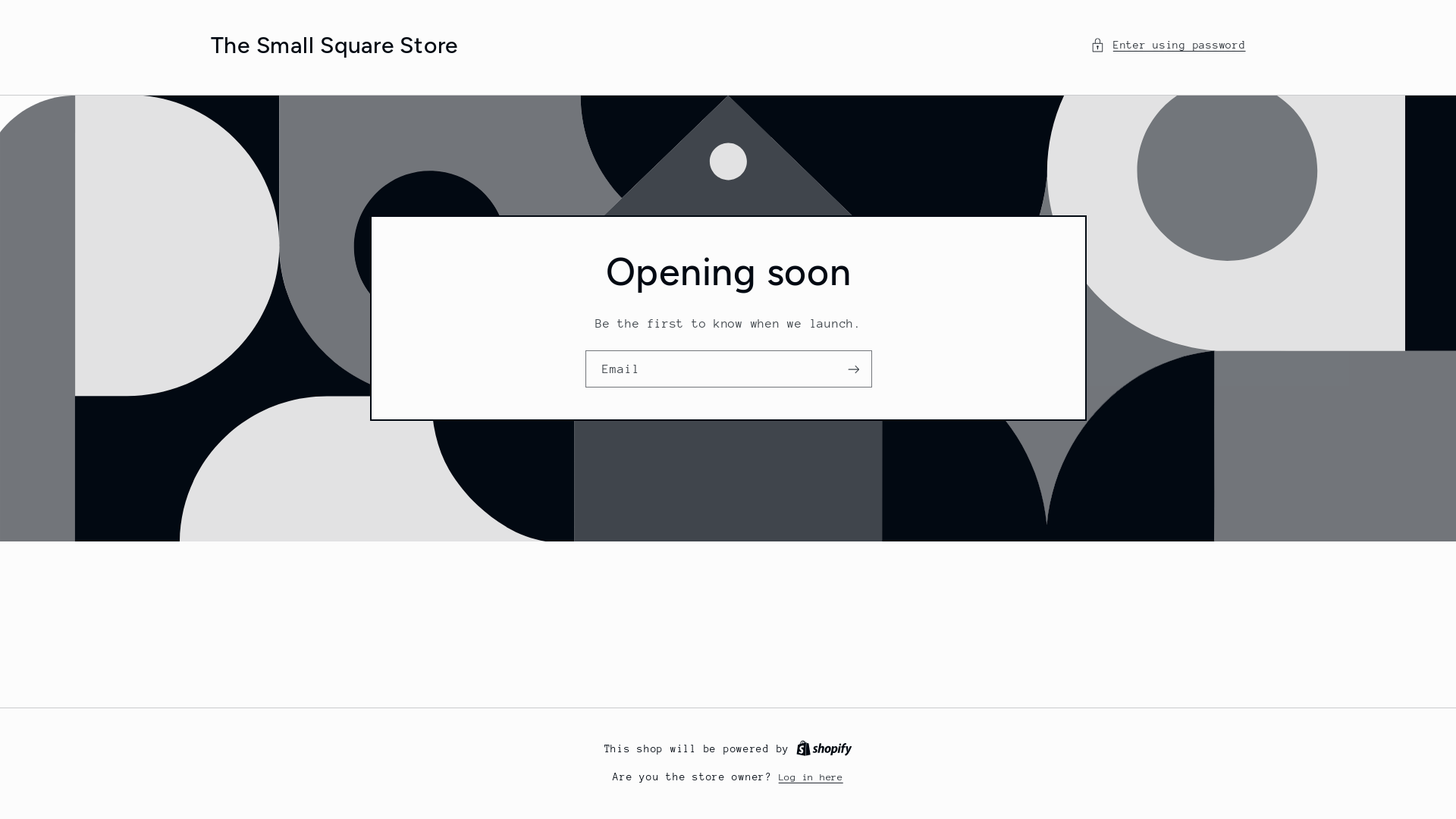website screenshot of https://thesmallsquarestore.com/