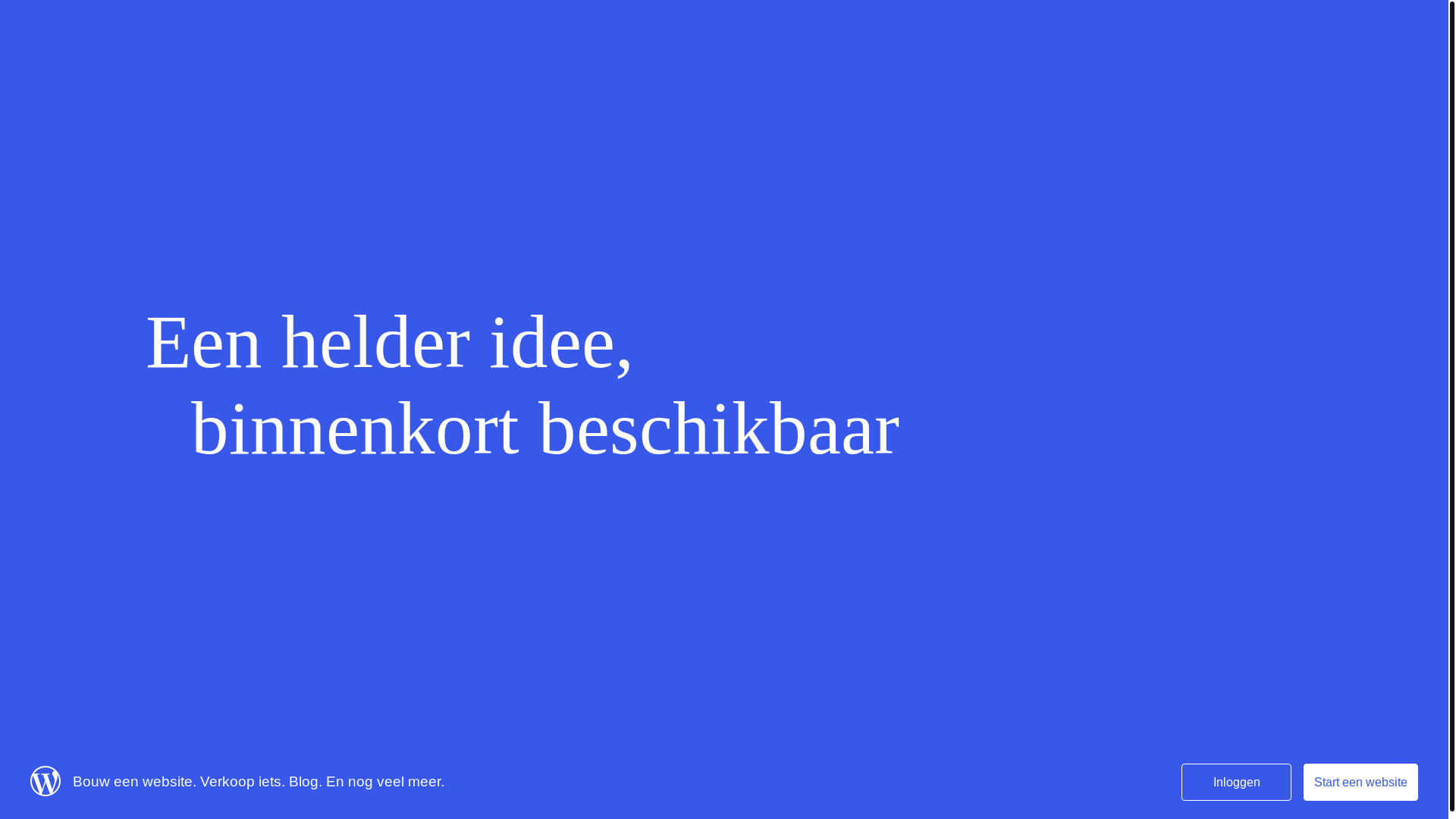 website screenshot of https://nienkehartog.com/
