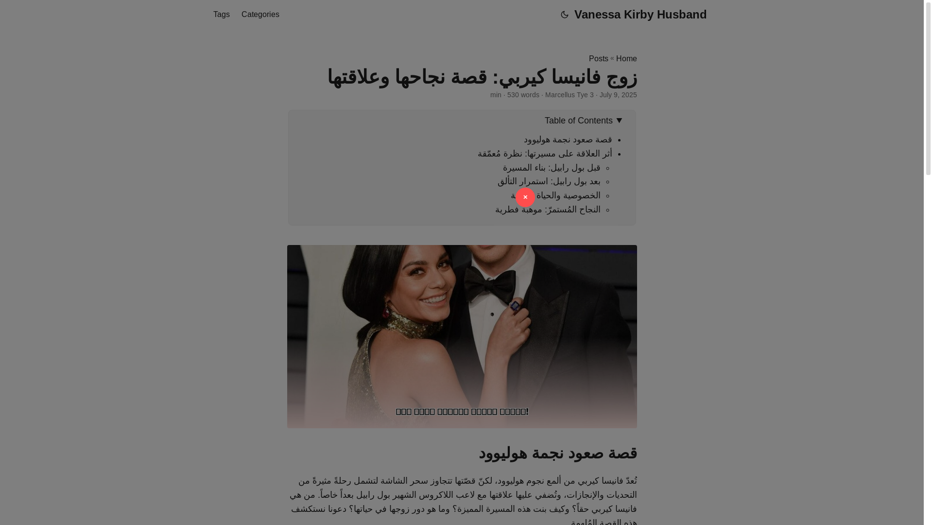 website screenshot of https://vanessa-kirby-husband.pages.dev/