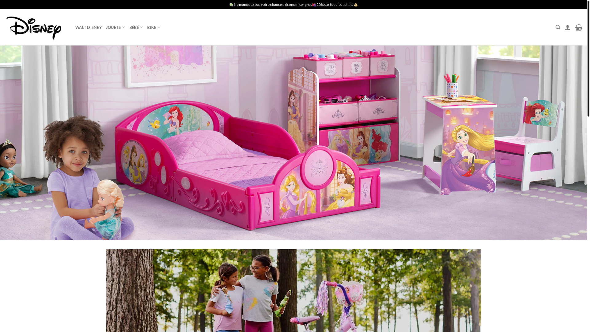 website screenshot of https://dsnfrensemble.com/