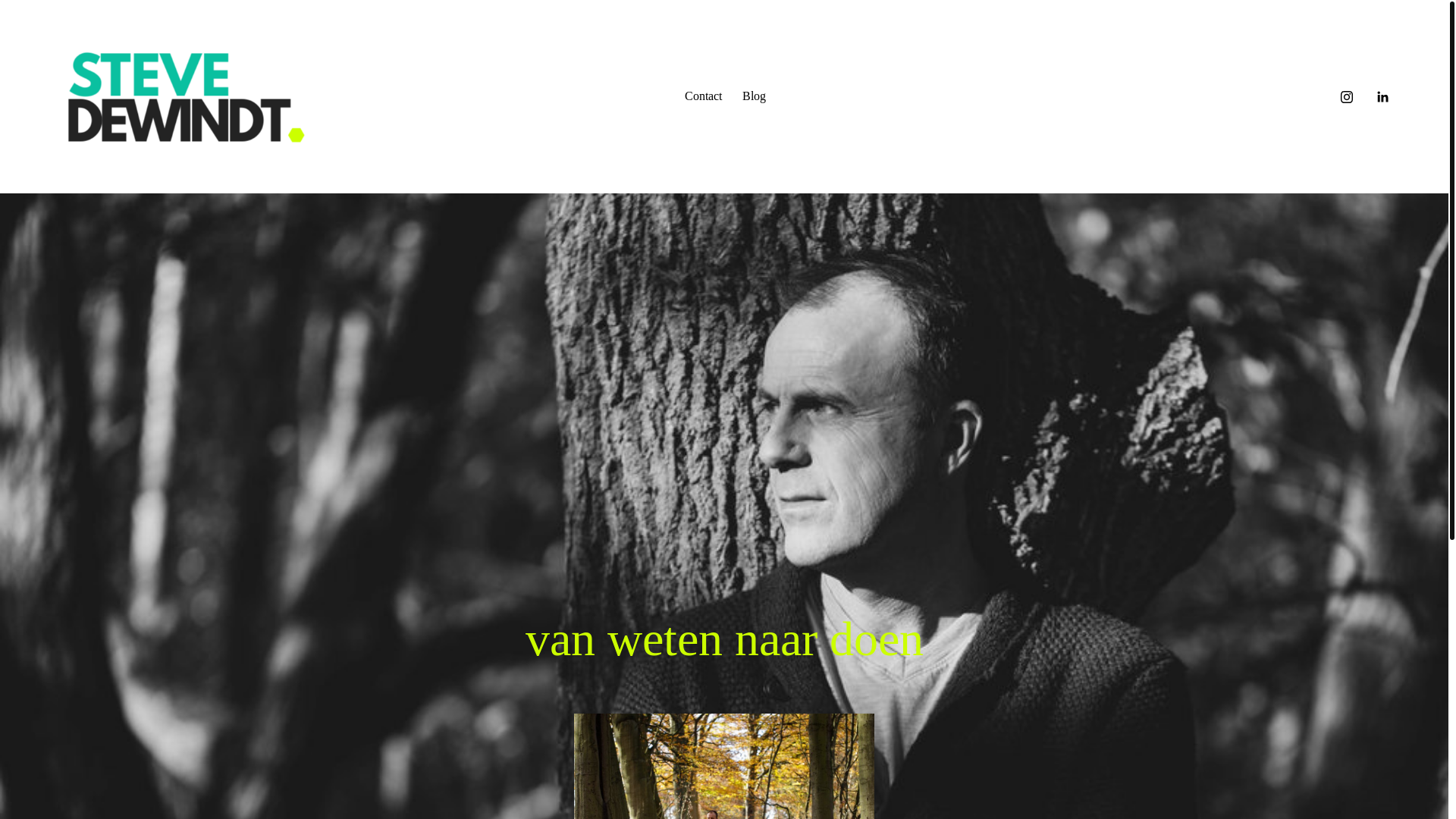 website screenshot of https://stevedewindt.com/