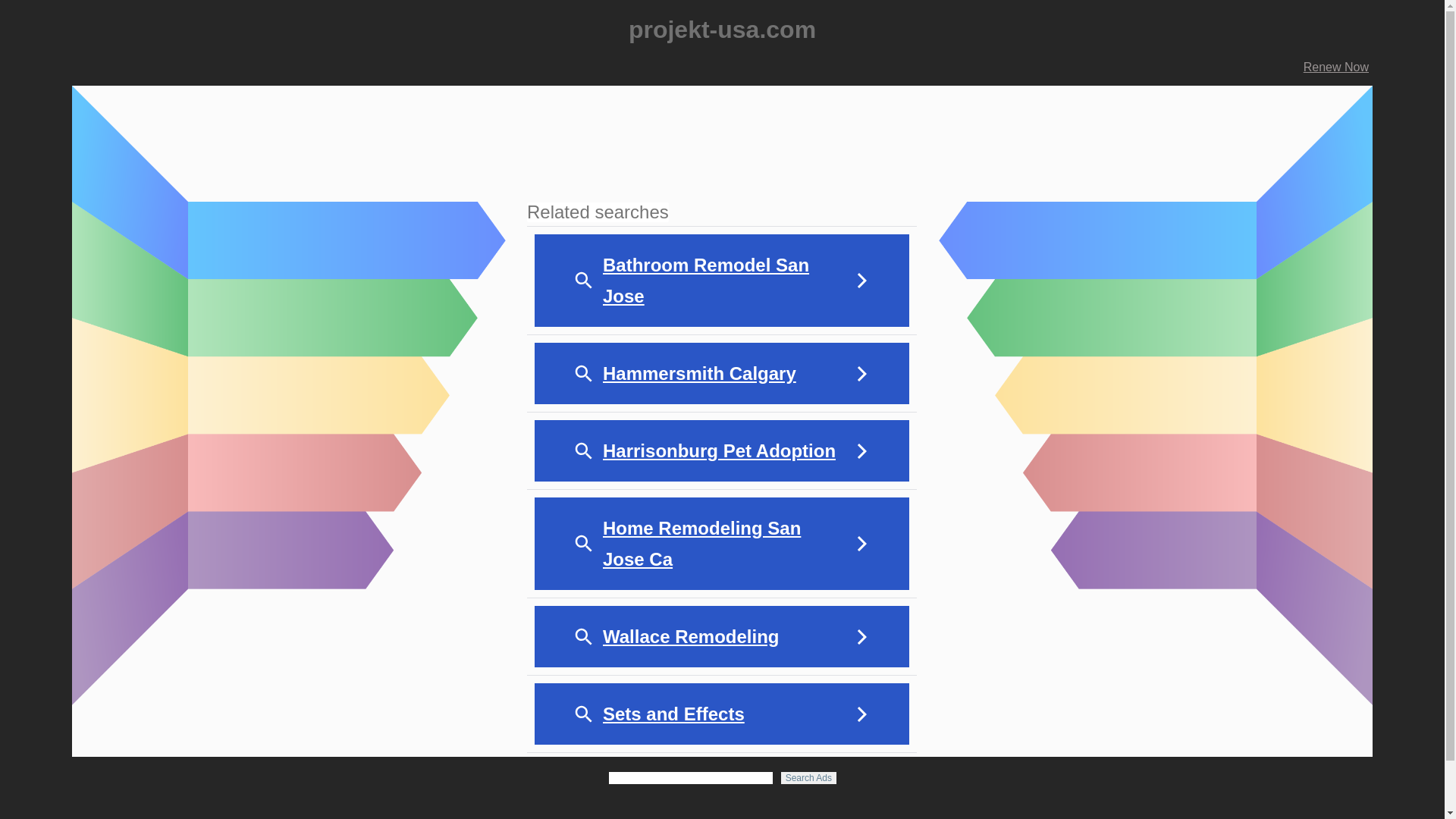 website screenshot of https://projekt-usa.com/