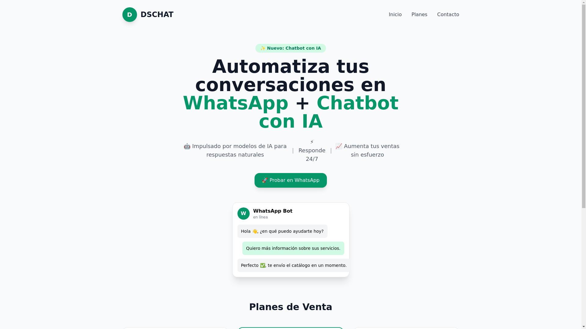website screenshot of https://dschat.cl/