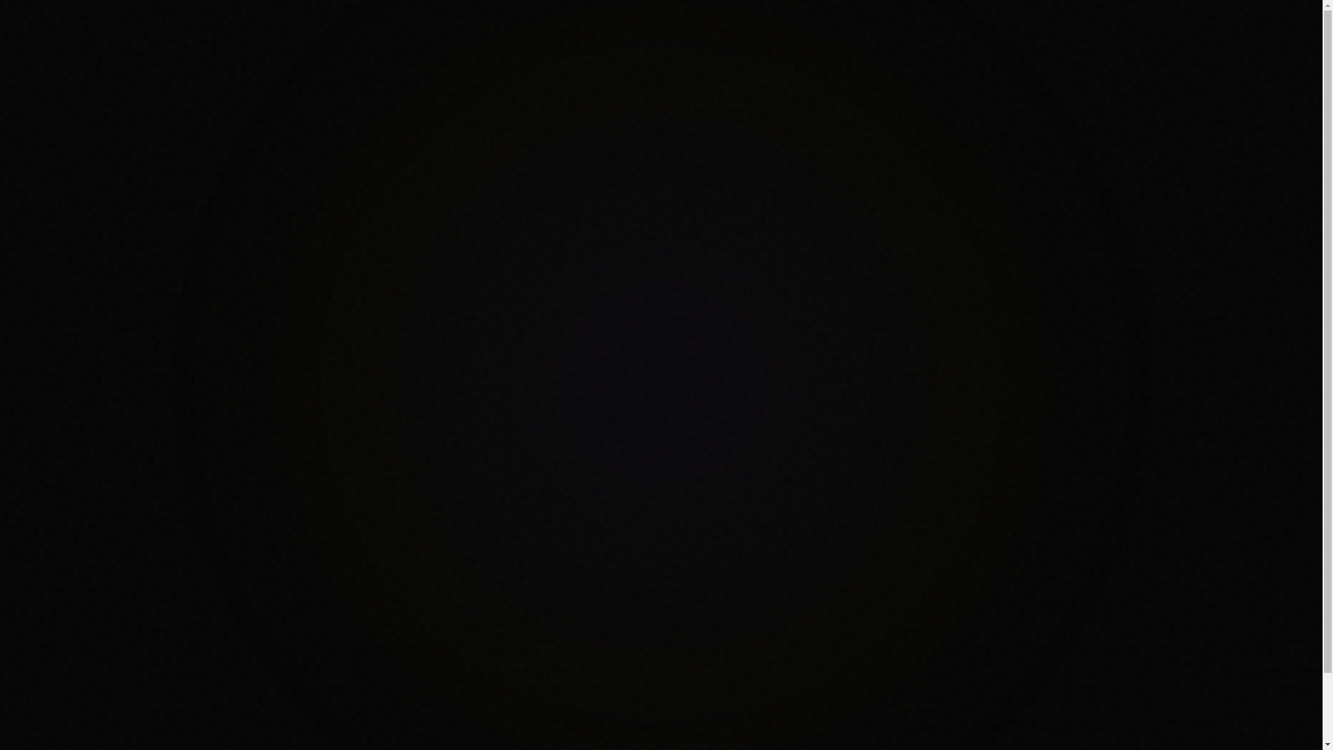 website screenshot of https://payal-explorer.pages.dev/