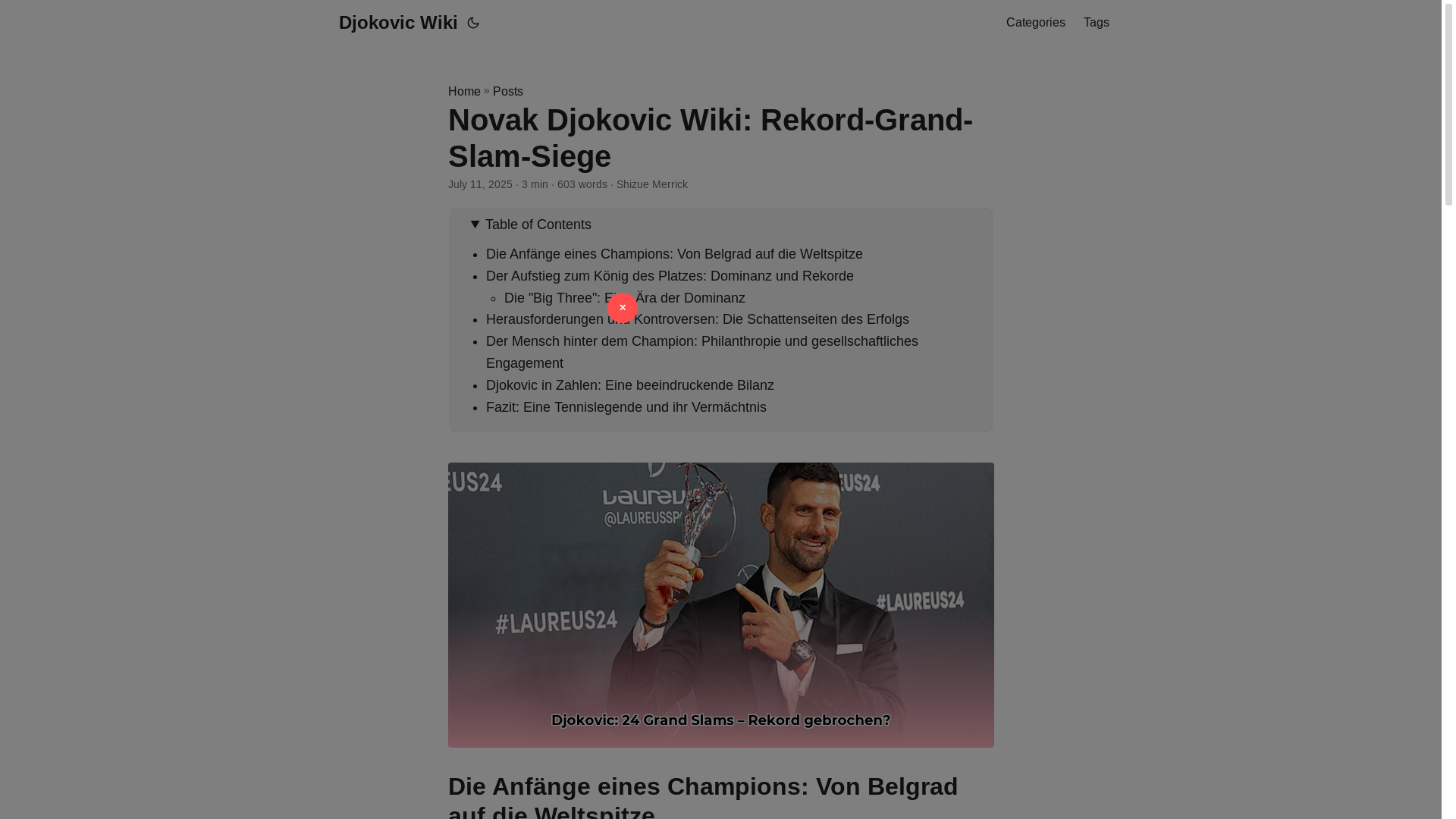 website screenshot of https://djokovic-wiki.pages.dev/