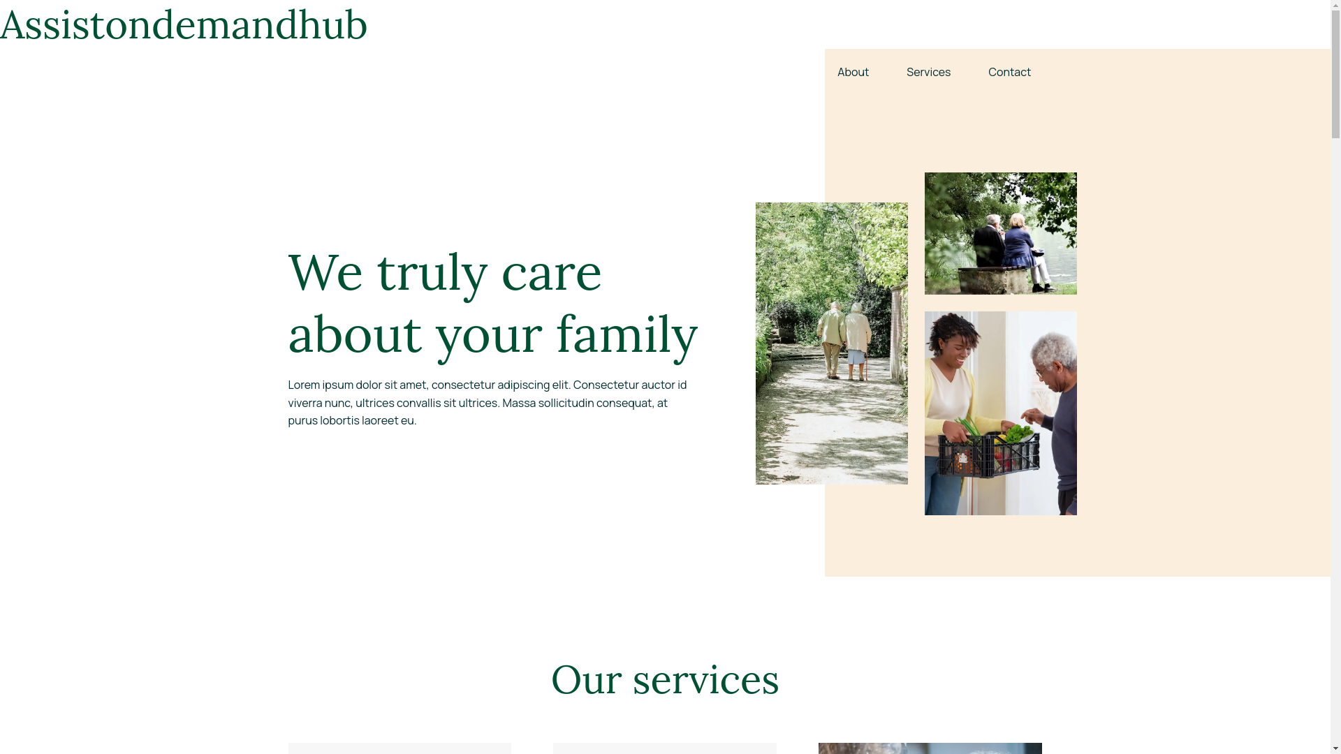 website screenshot of https://assistondemandhub.com/