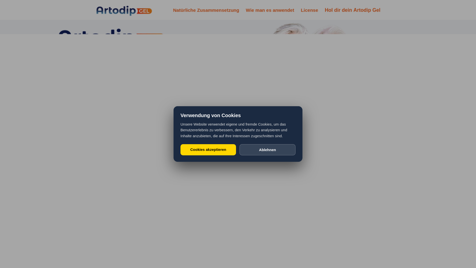 website screenshot of https://artodipooffcl.shop/