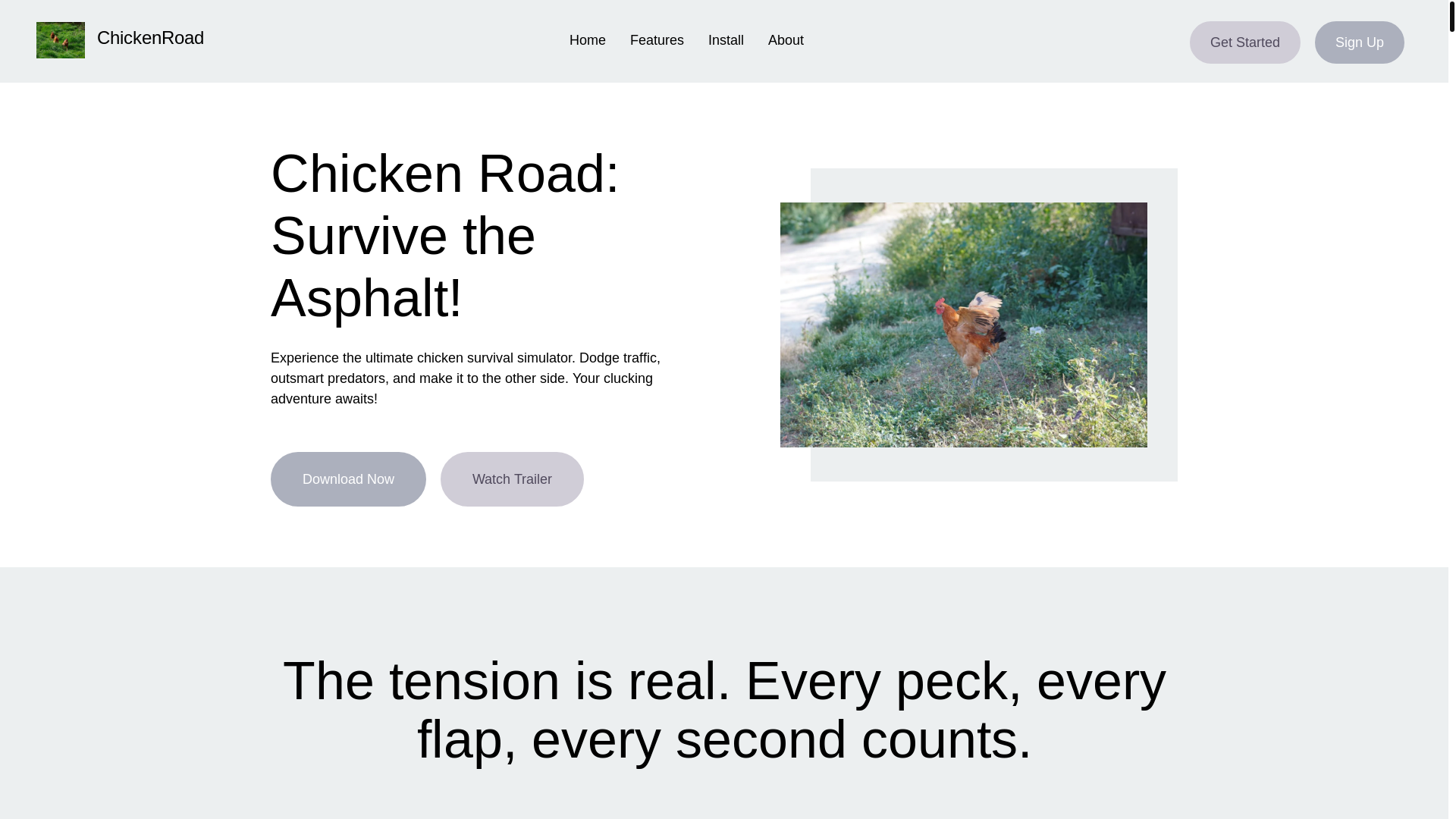 website screenshot of https://chickenroadfq.info/