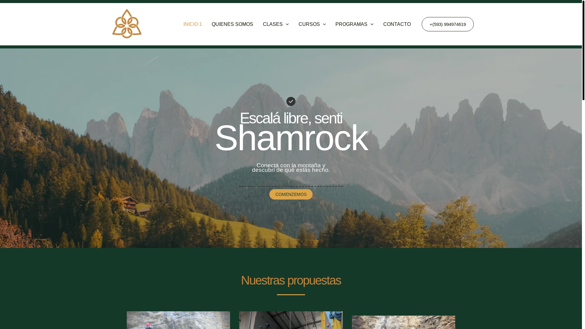 website screenshot of https://shamrockescalada.com/