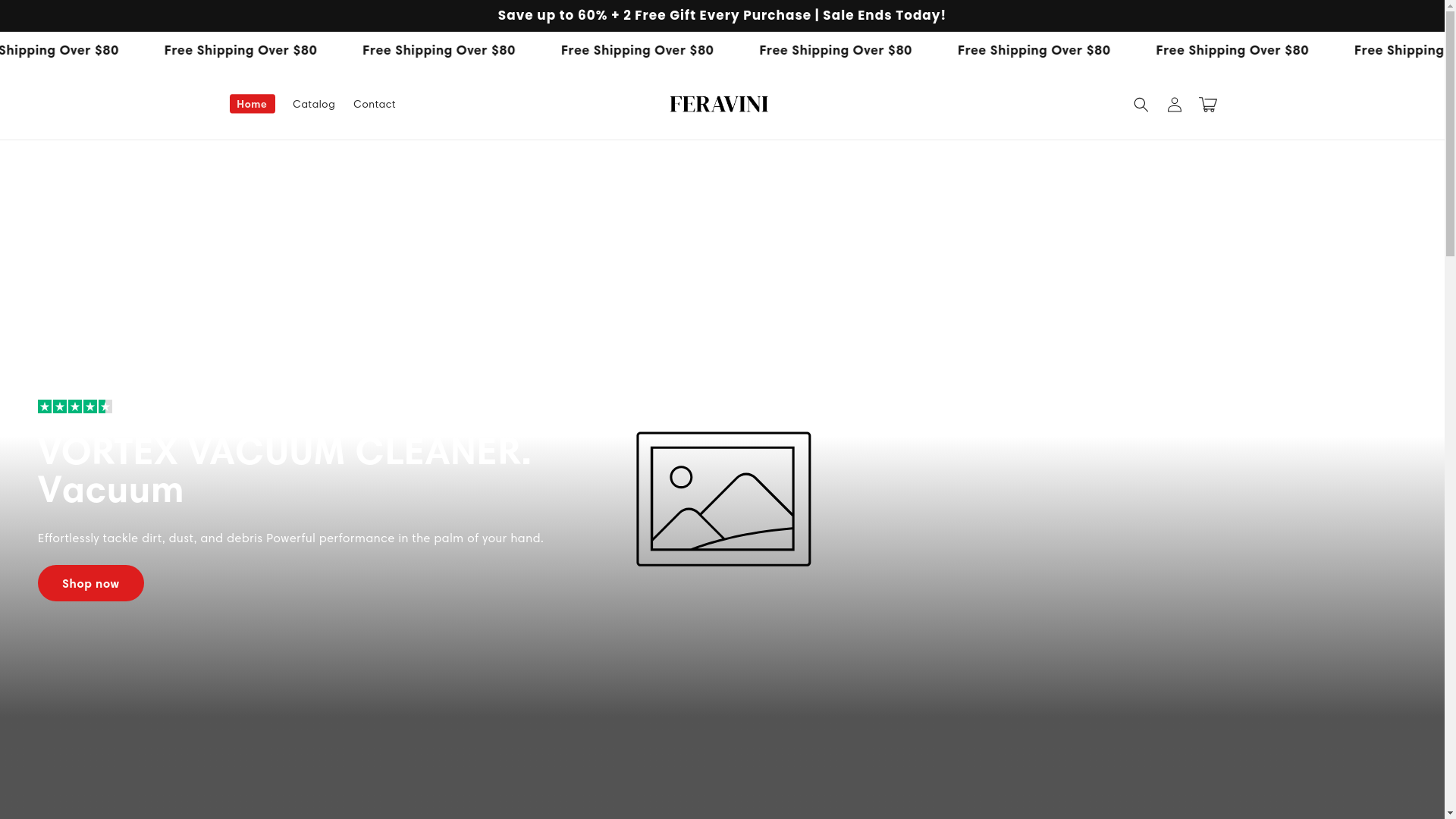 website screenshot of https://feravini.com/
