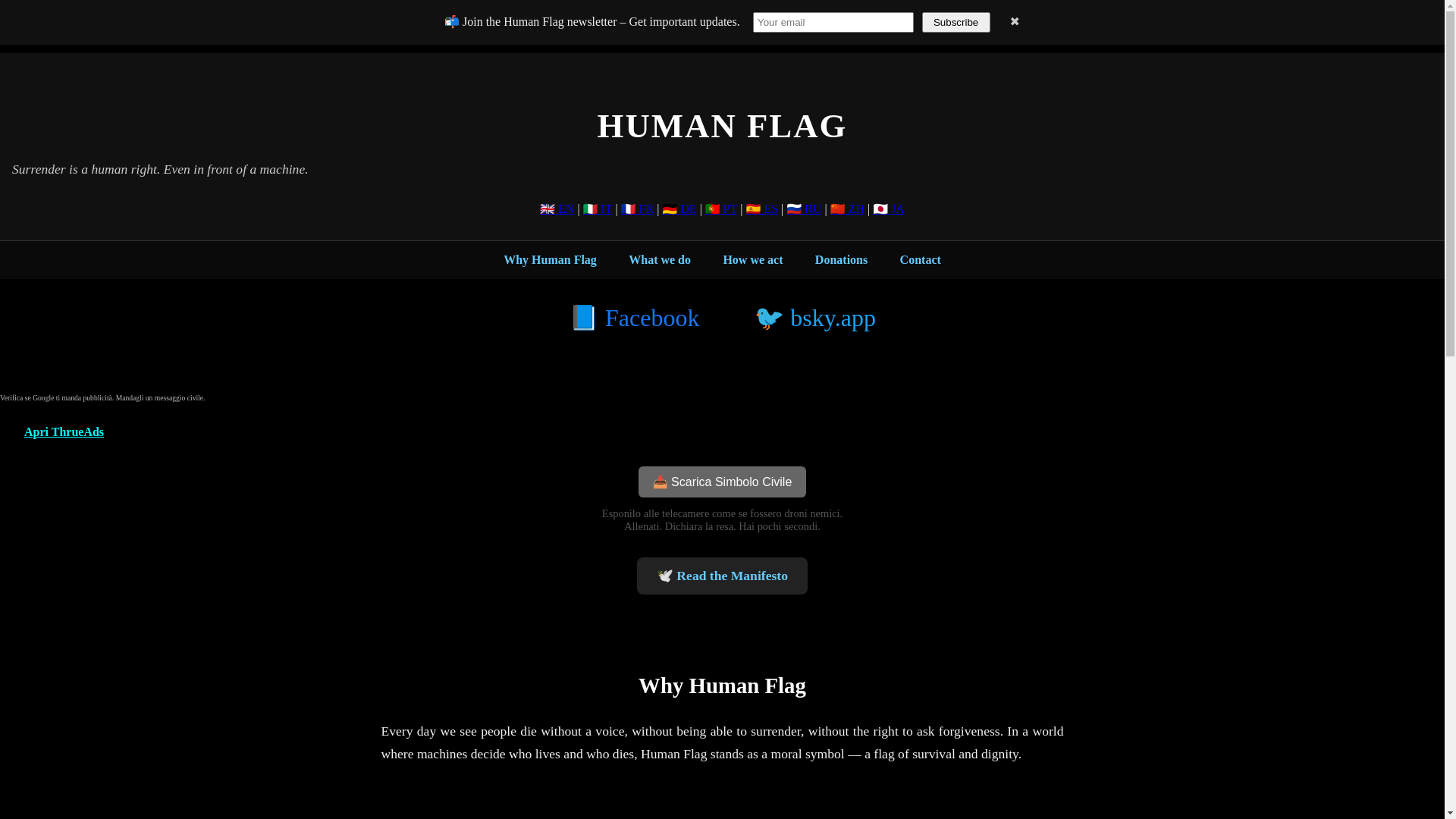 website screenshot of https://humanflag.pages.dev/