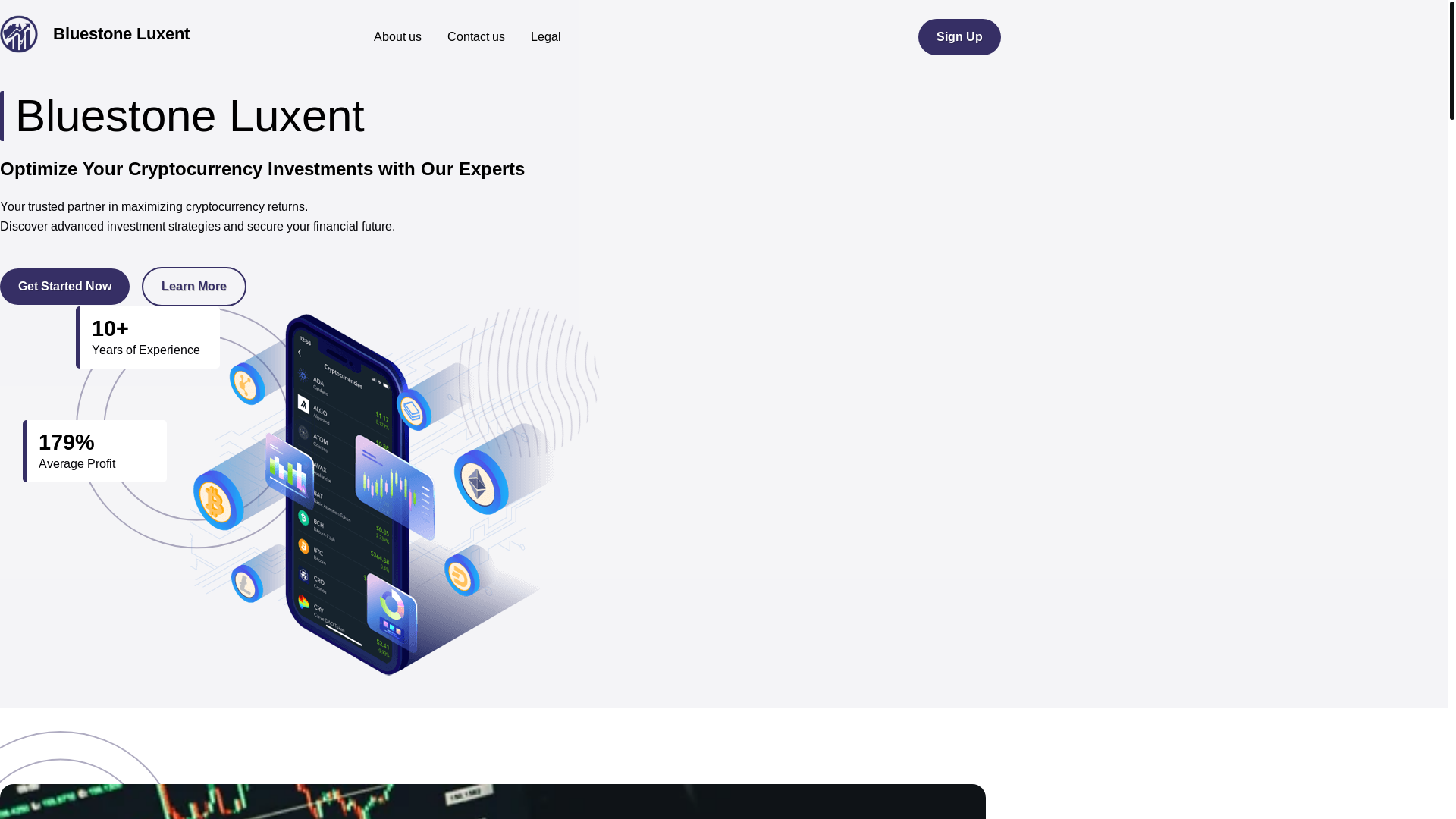 website screenshot of https://bluestoneluxent.com/