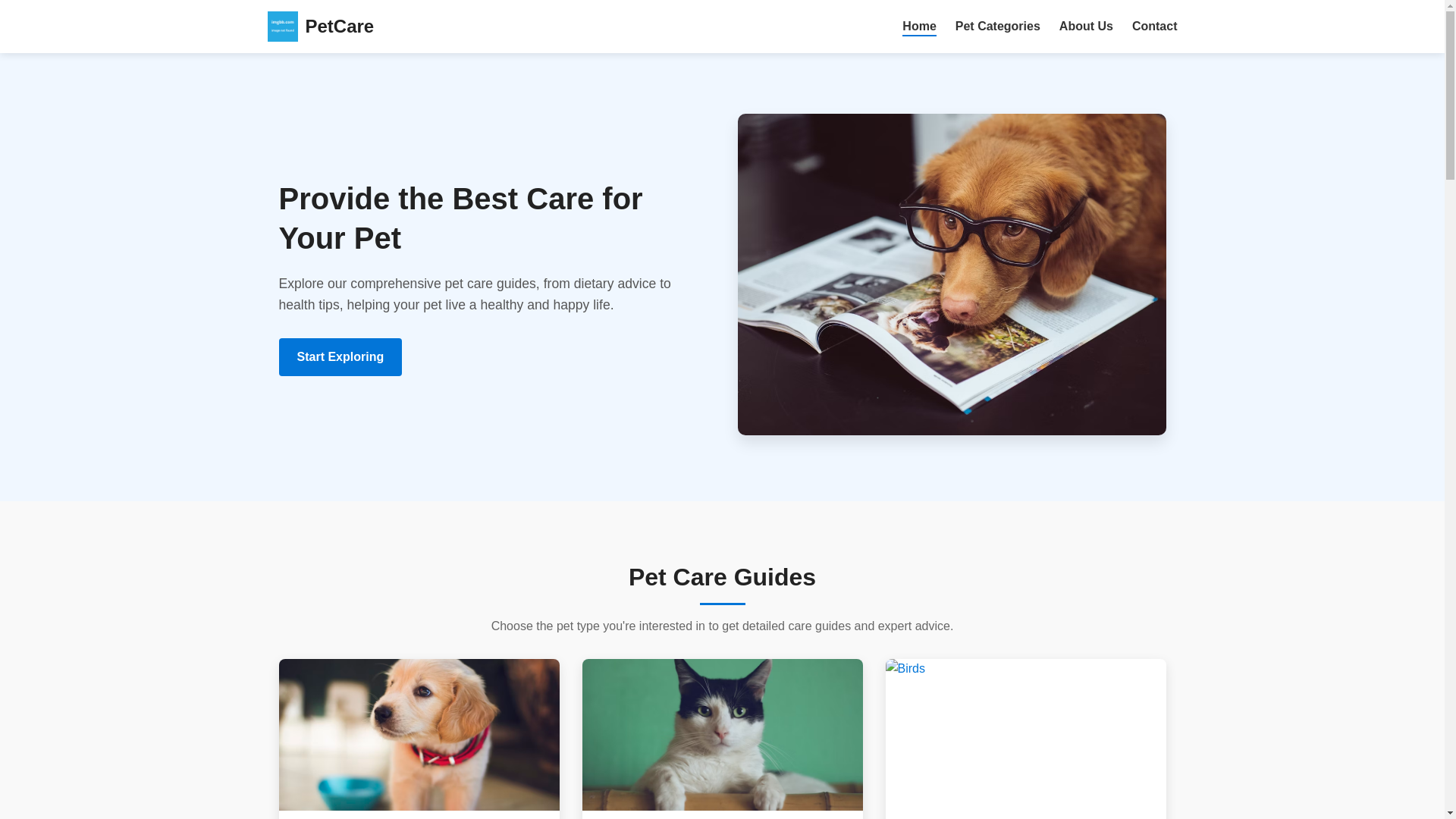 website screenshot of https://netaoso.shop/
