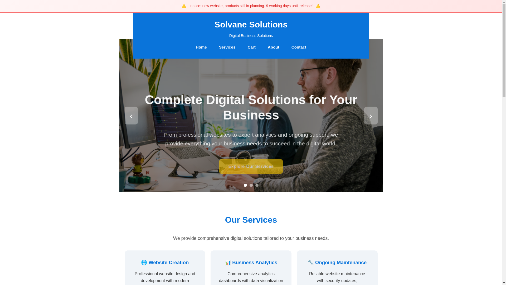 website screenshot of https://solvanesolutions.shop/