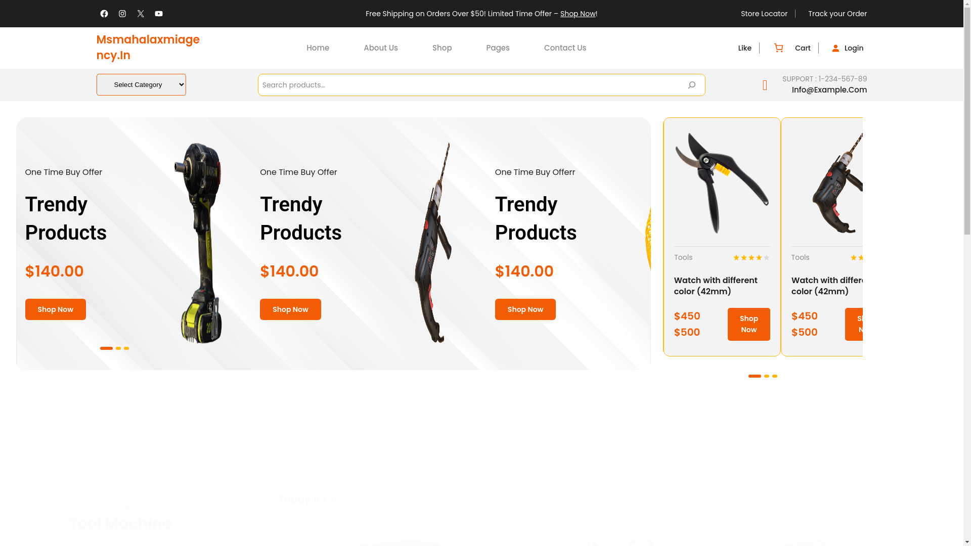 website screenshot of https://msmahalaxmiagency.in/