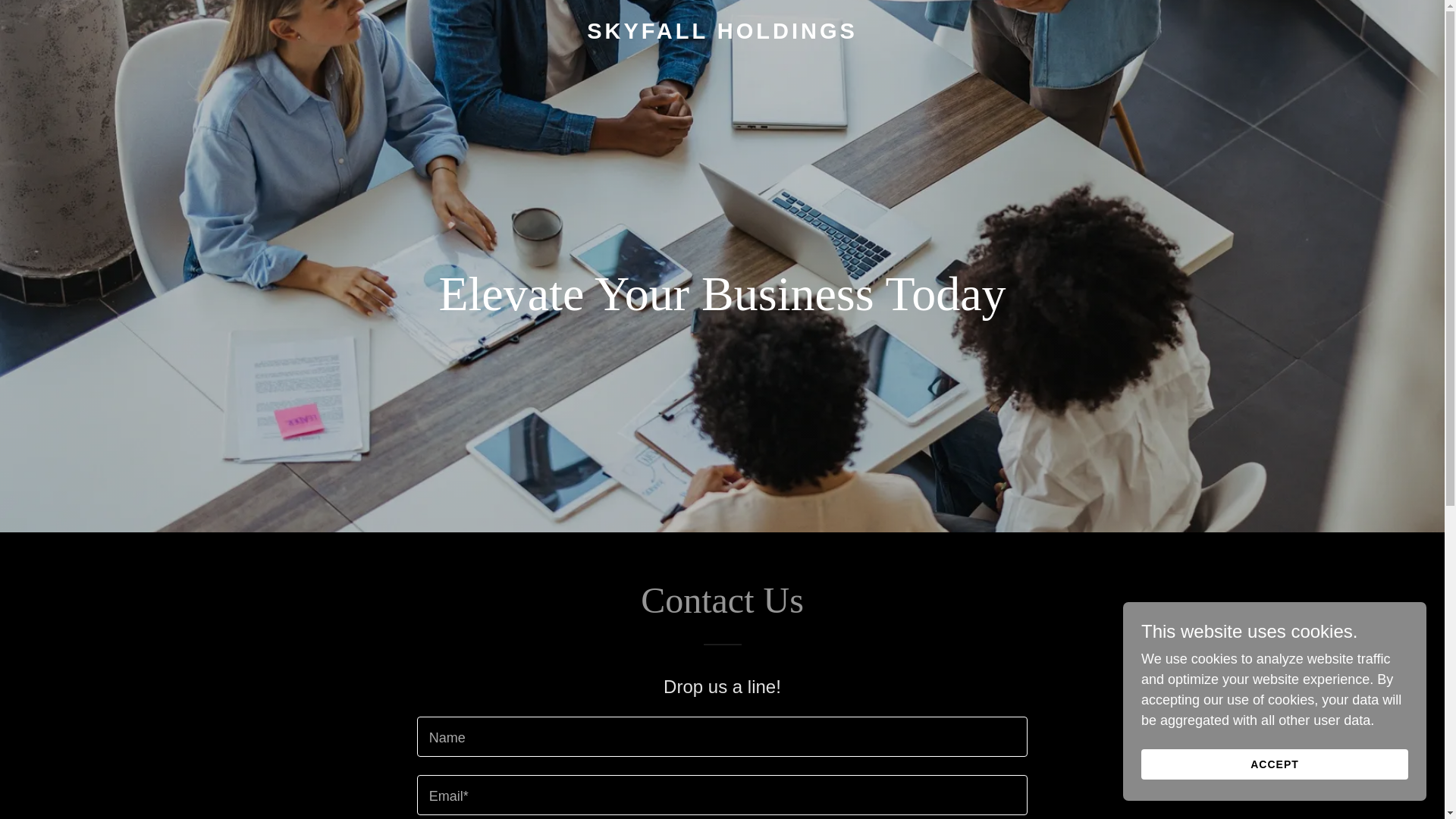 website screenshot of https://skyfall.global/
