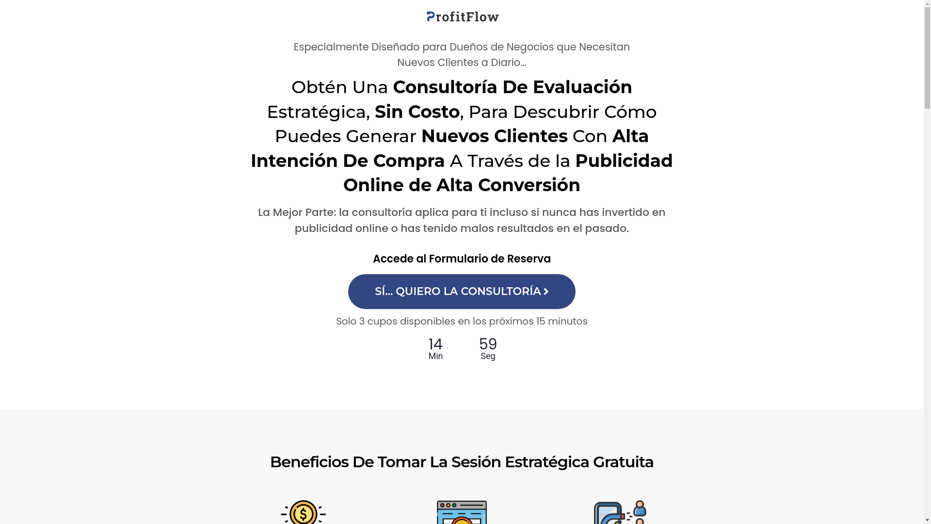 website screenshot of https://profitflowagencia.com/
