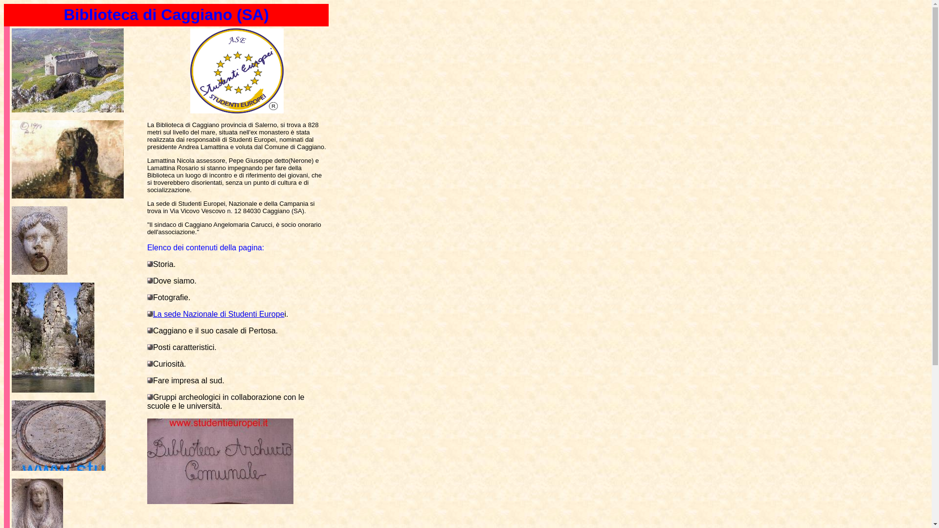 website screenshot of https://bibliotecacaggiano.it/