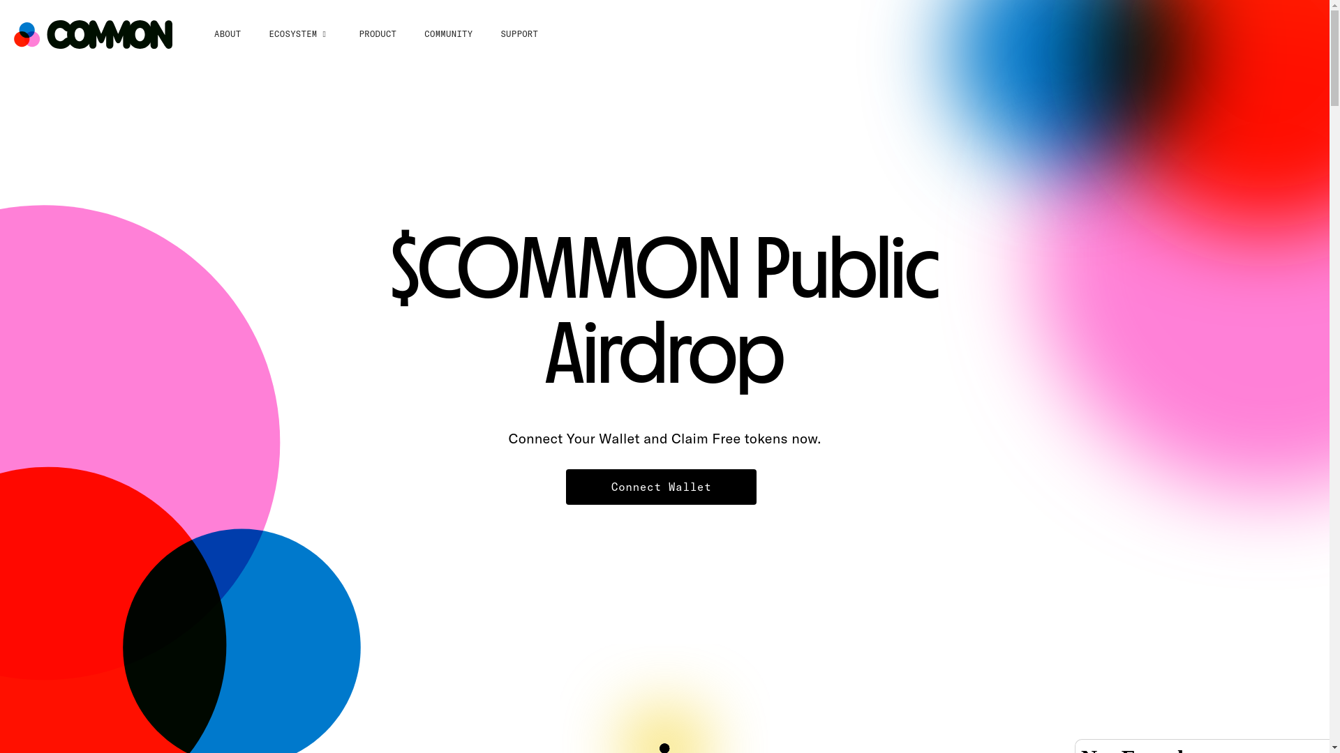 website screenshot of https://commonchecker.xyz/