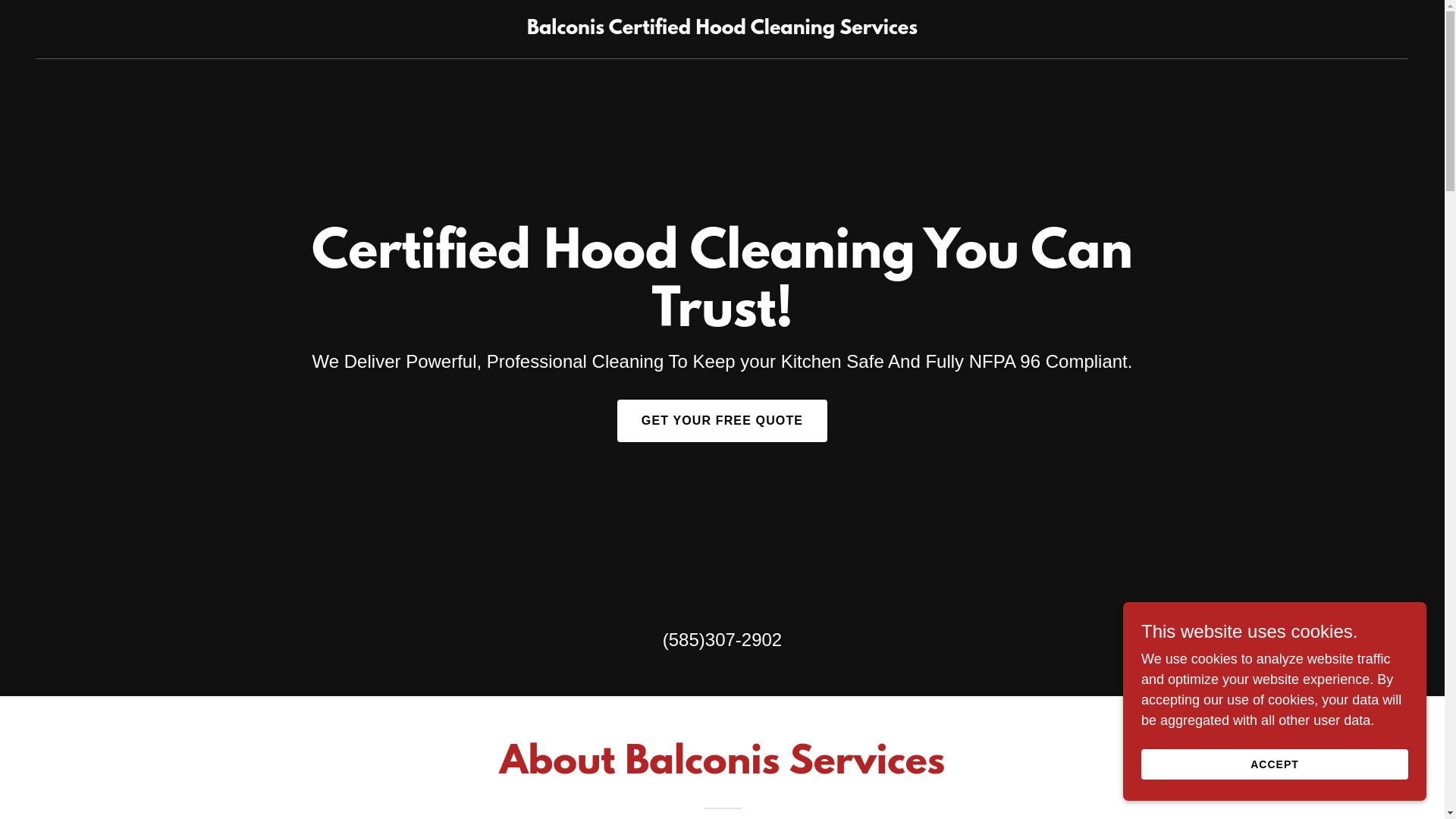 website screenshot of https://cleanwithbalconi.com/