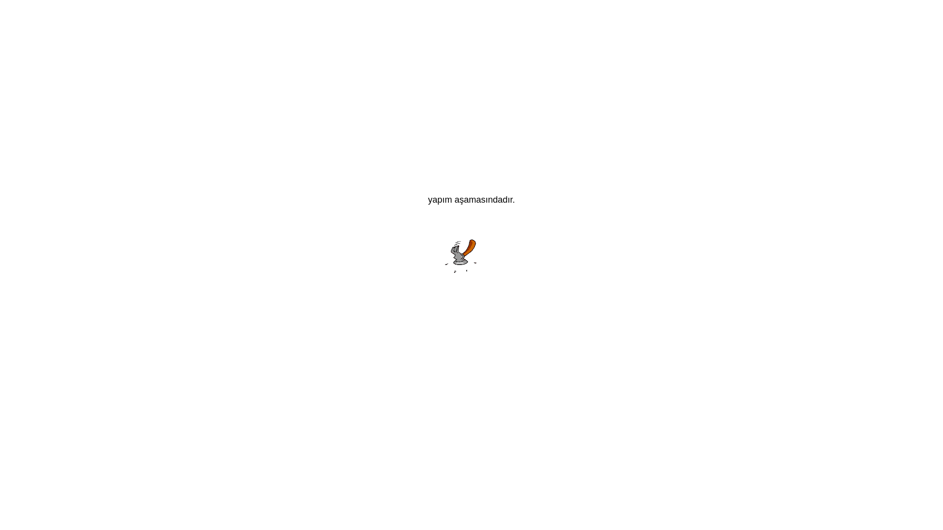 website screenshot of https://aiseveali.com/