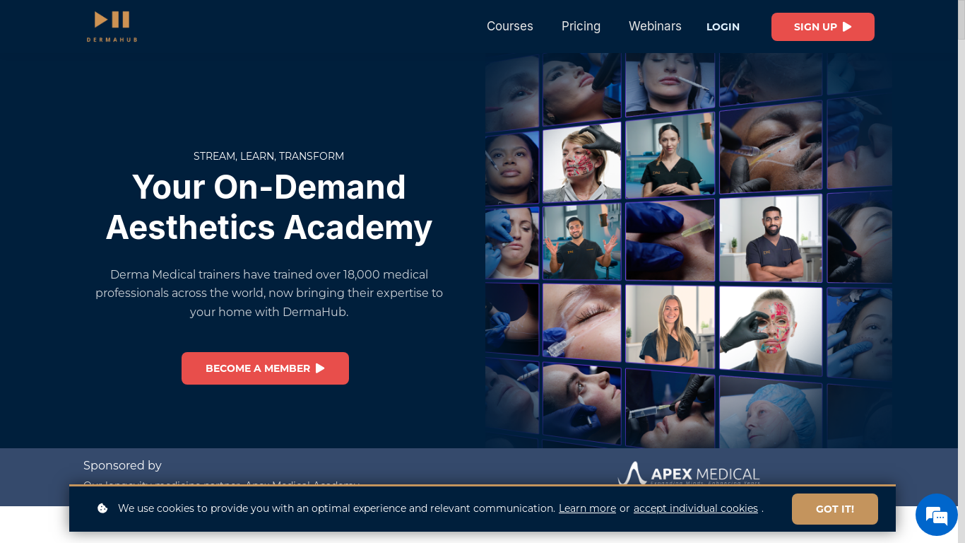 website screenshot of https://dermahub.com/