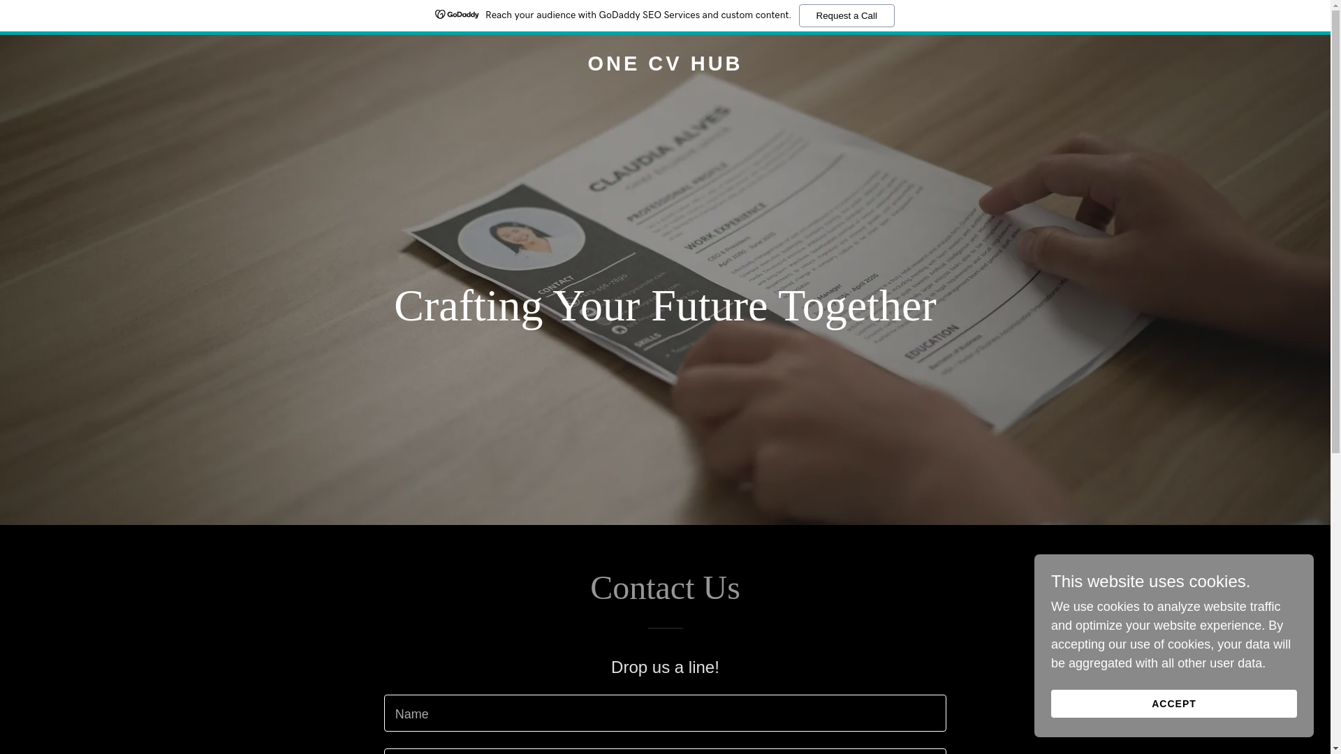 website screenshot of https://onecvhub.com/
